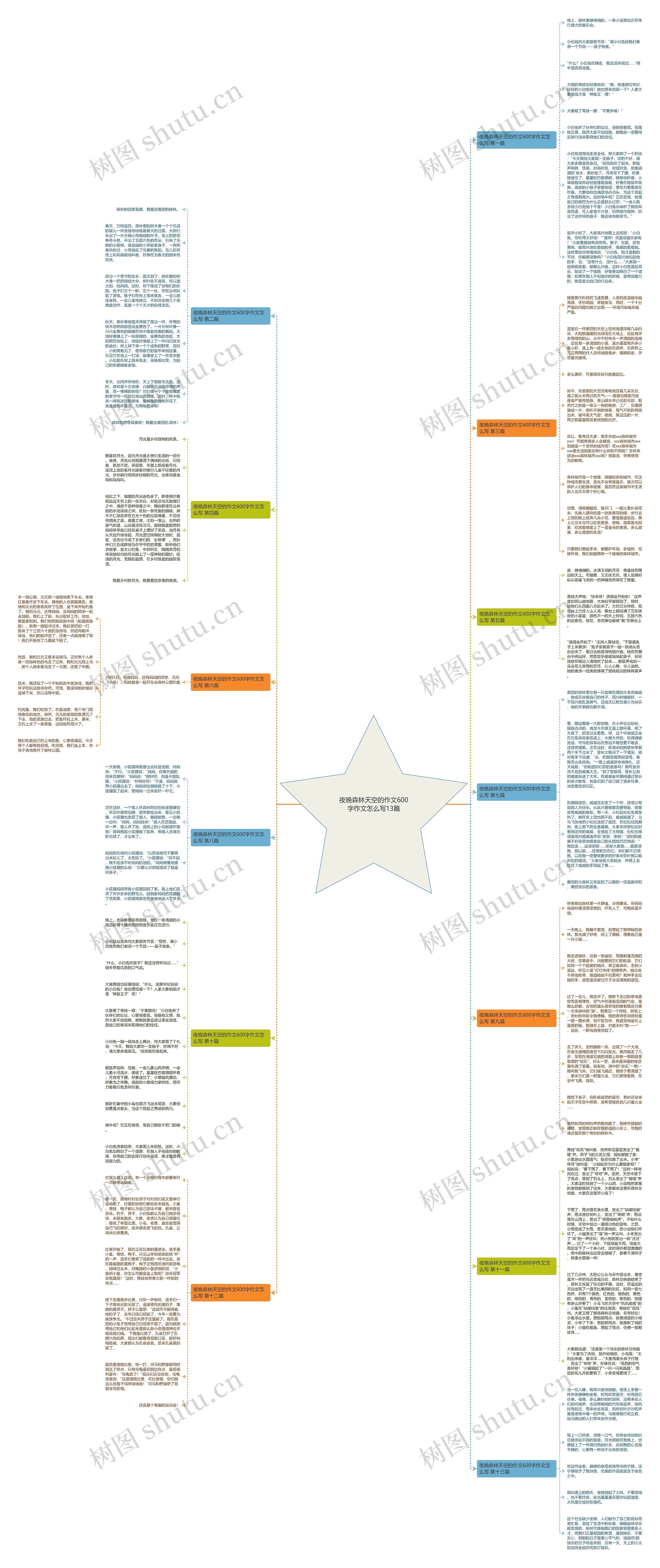 夜晚森林天空的作文600字作文怎么写13篇思维导图