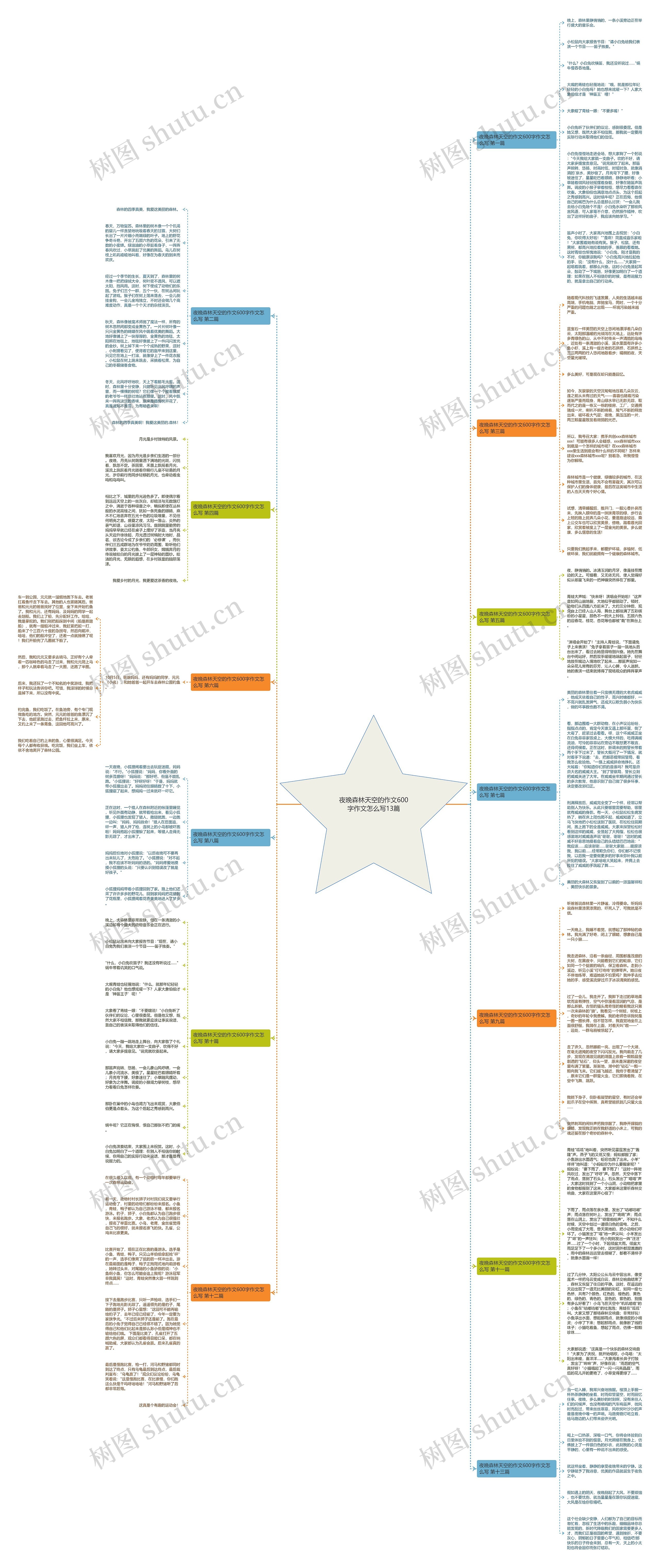 夜晚森林天空的作文600字作文怎么写13篇 夜晚森林天空的作文600字作文怎么写13篇