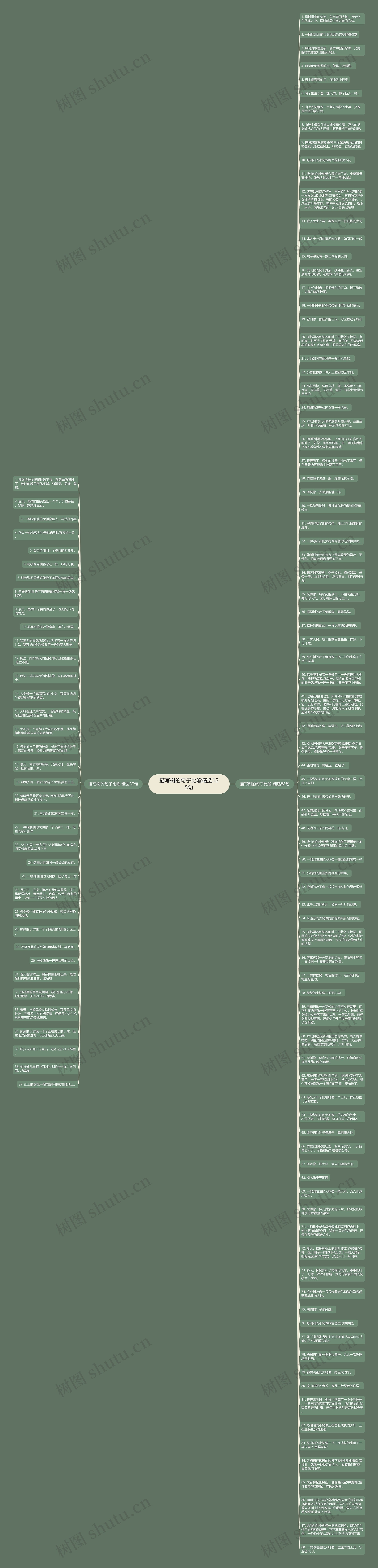 描写树的句子比喻精选125句思维导图