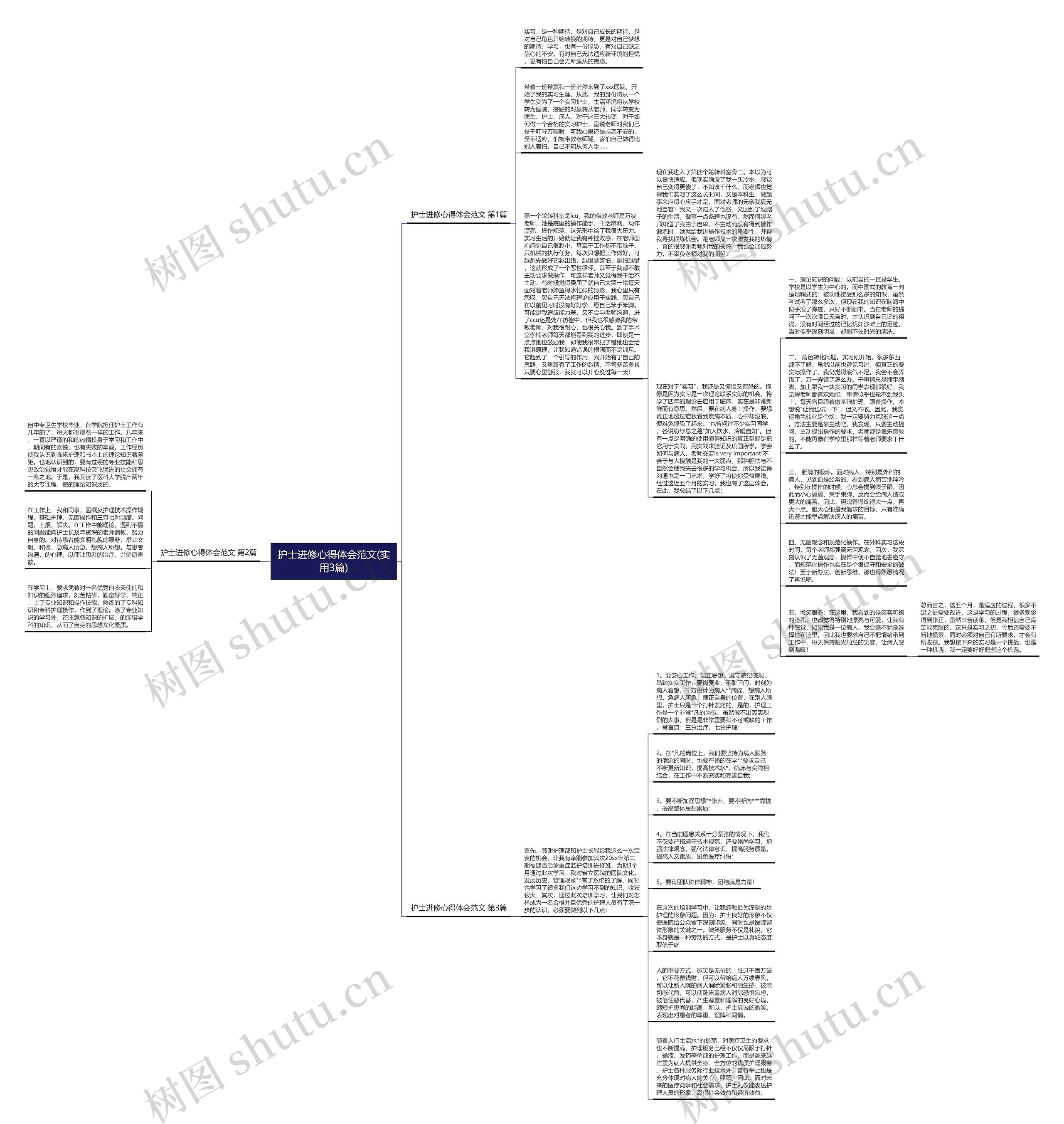 护士进修心得体会范文(实用3篇)思维导图