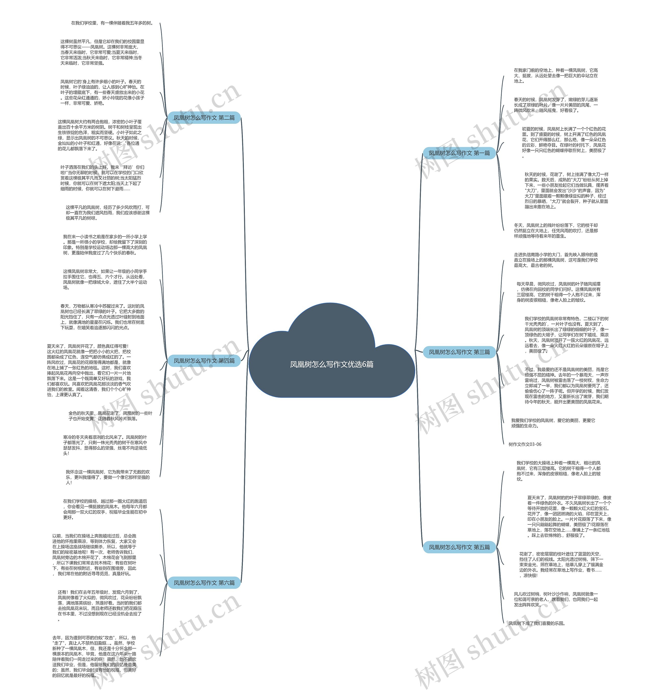 凤凰树怎么写作文优选6篇思维导图