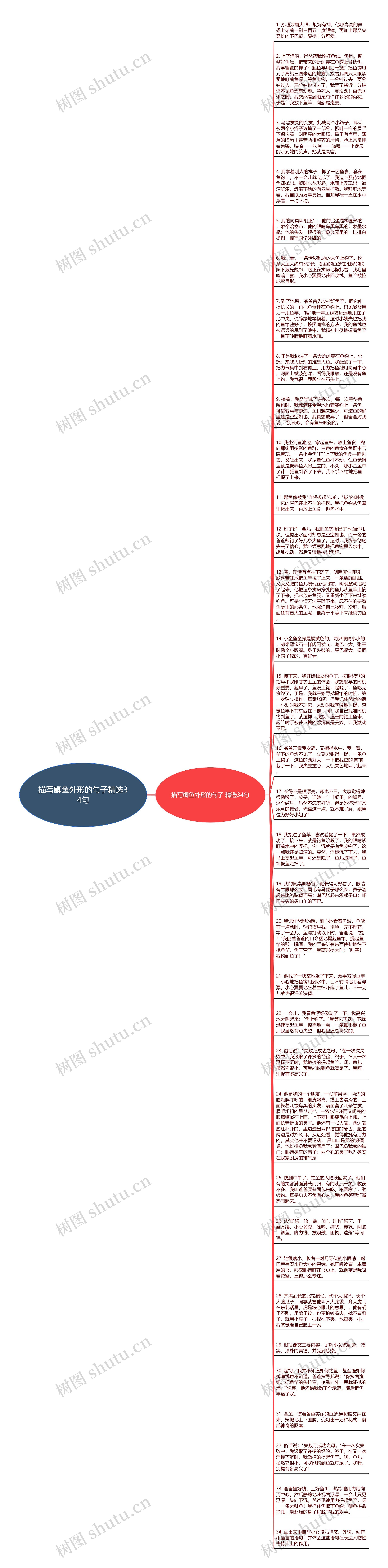 描写鲫鱼外形的句子精选34句思维导图