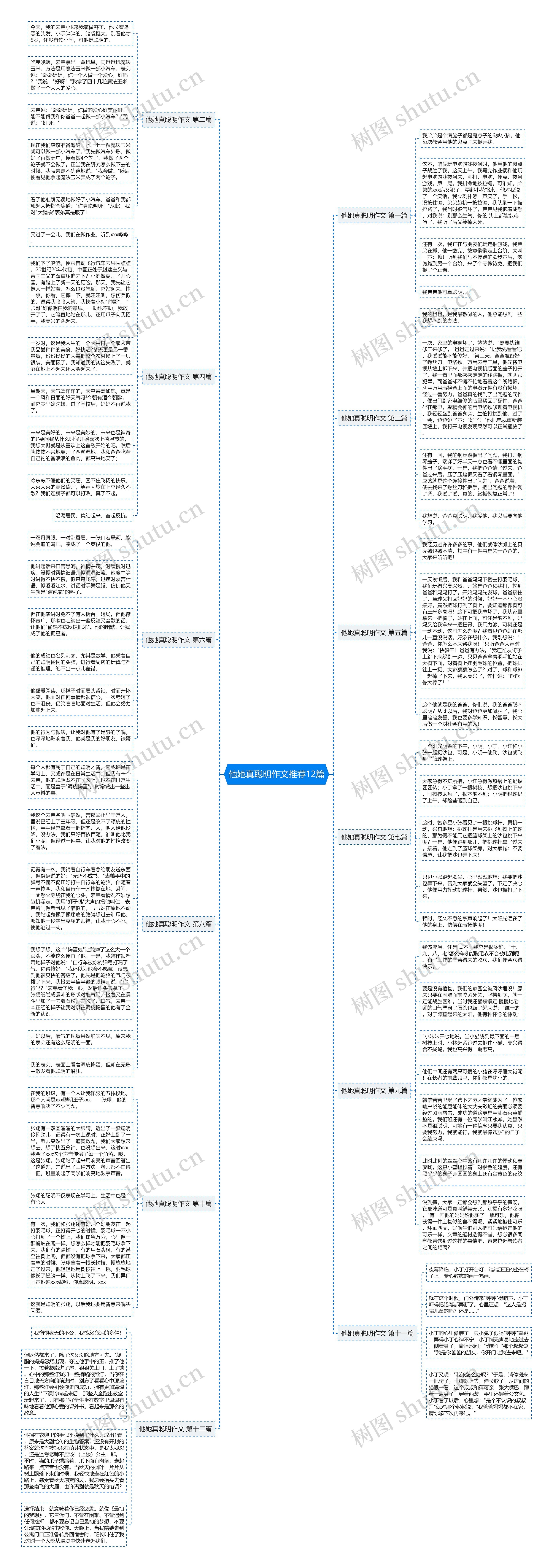他她真聪明作文推荐12篇思维导图