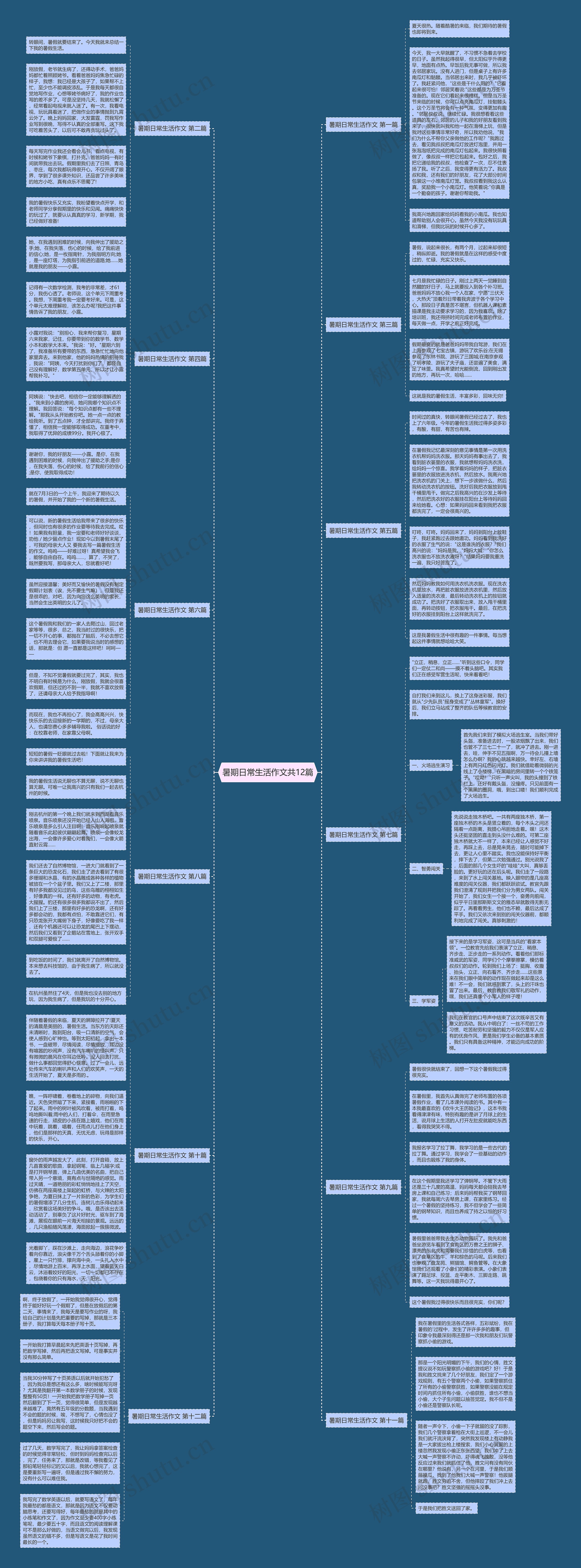 暑期日常生活作文共12篇思维导图
