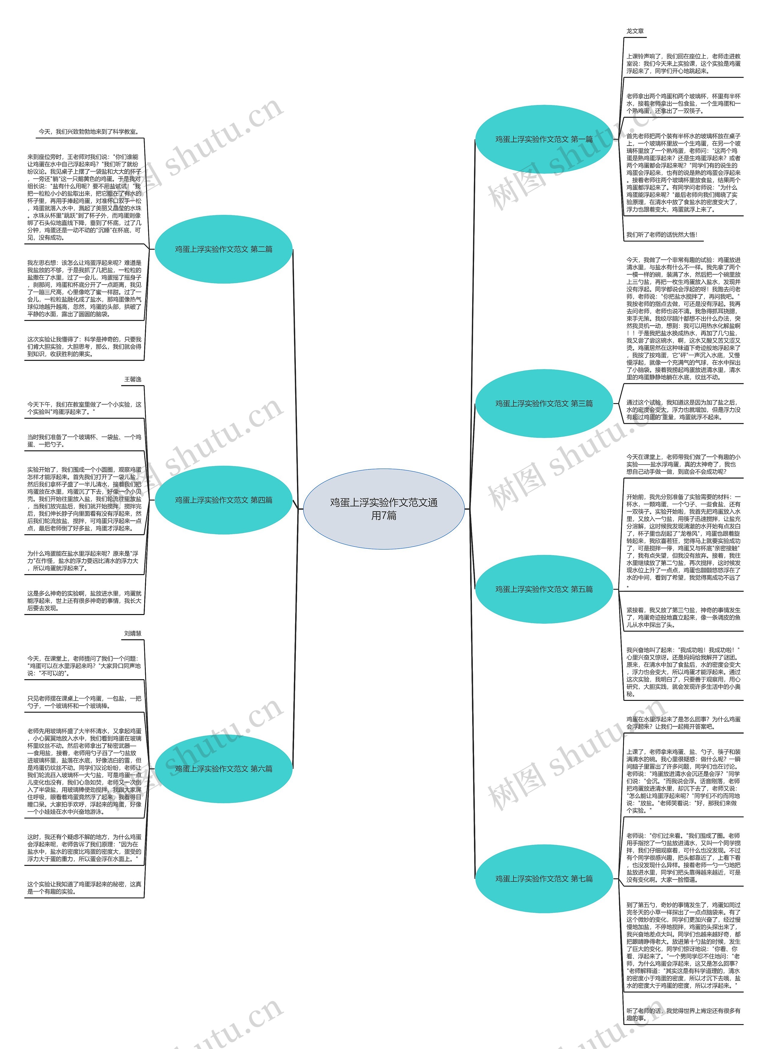 鸡蛋上浮实验作文范文通用7篇思维导图