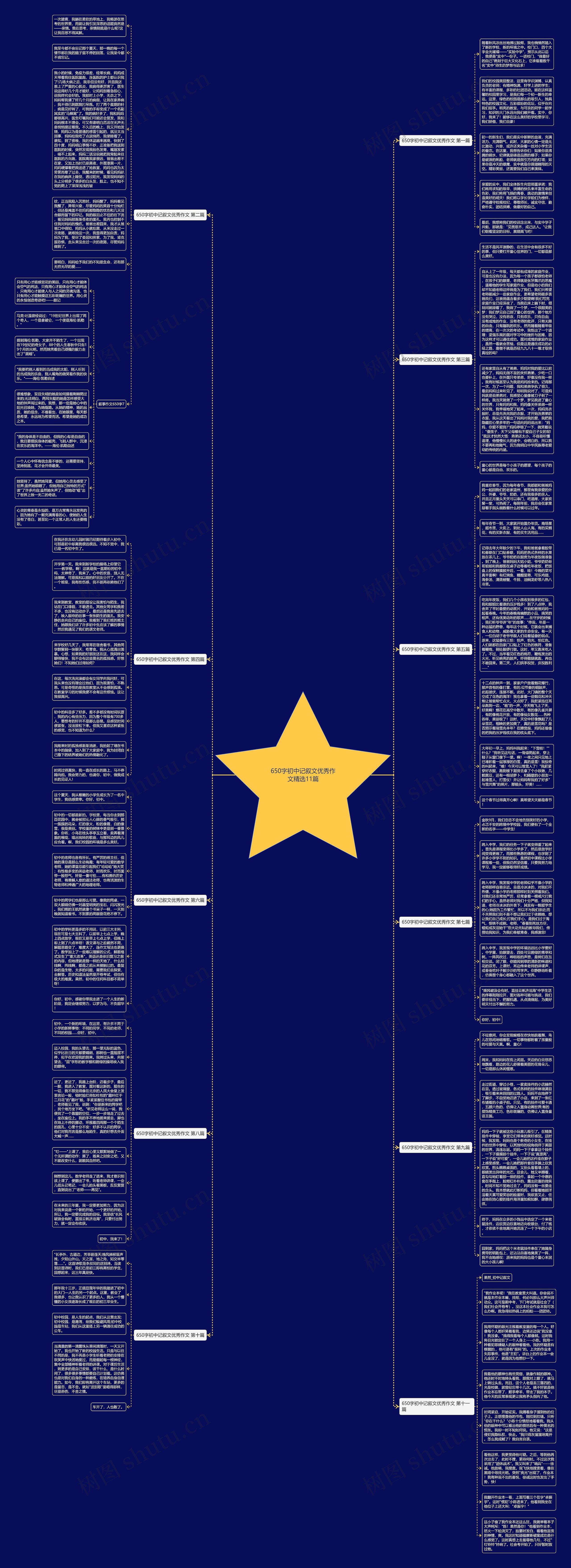 650字初中记叙文优秀作文精选11篇思维导图