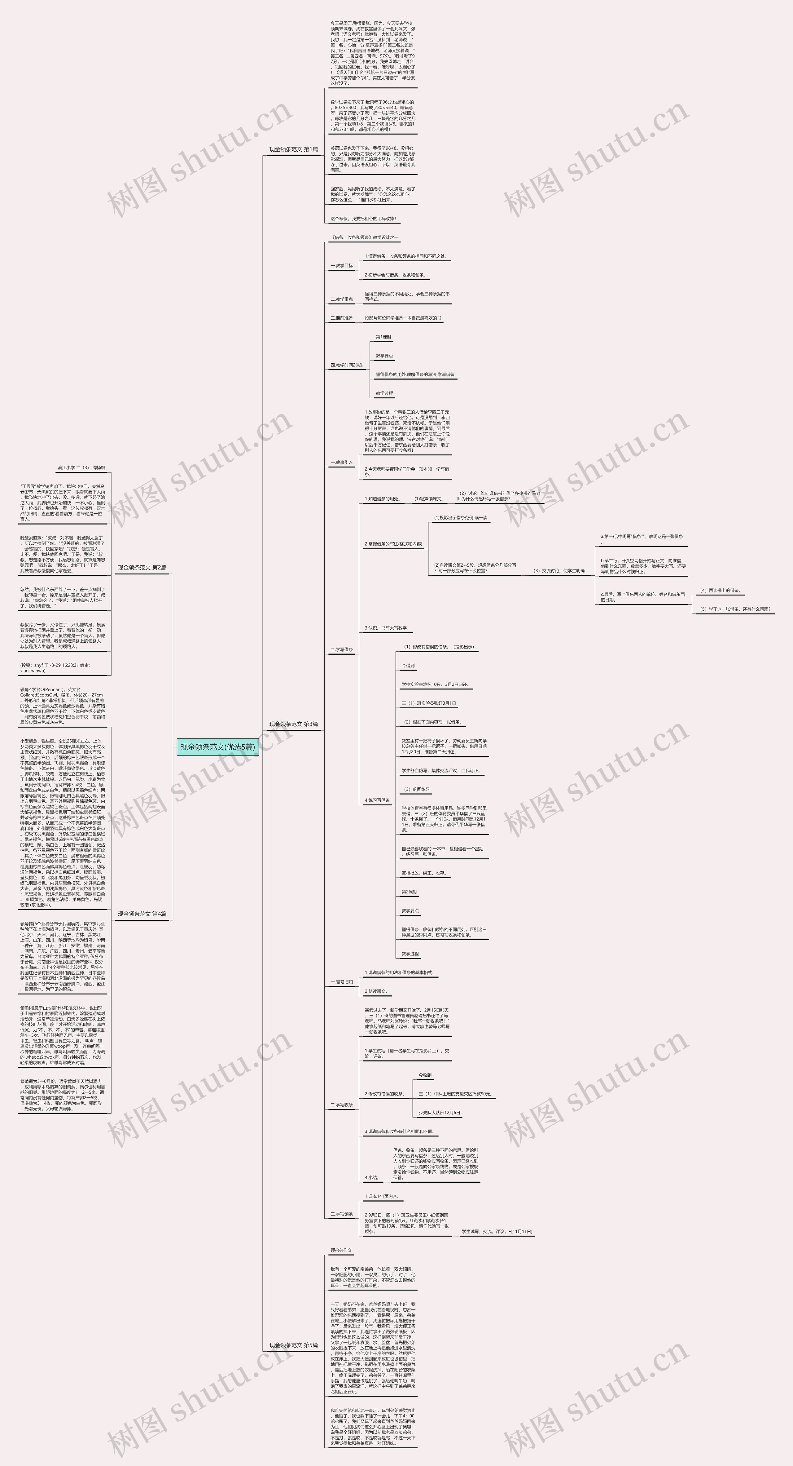 现金领条范文(优选5篇)思维导图