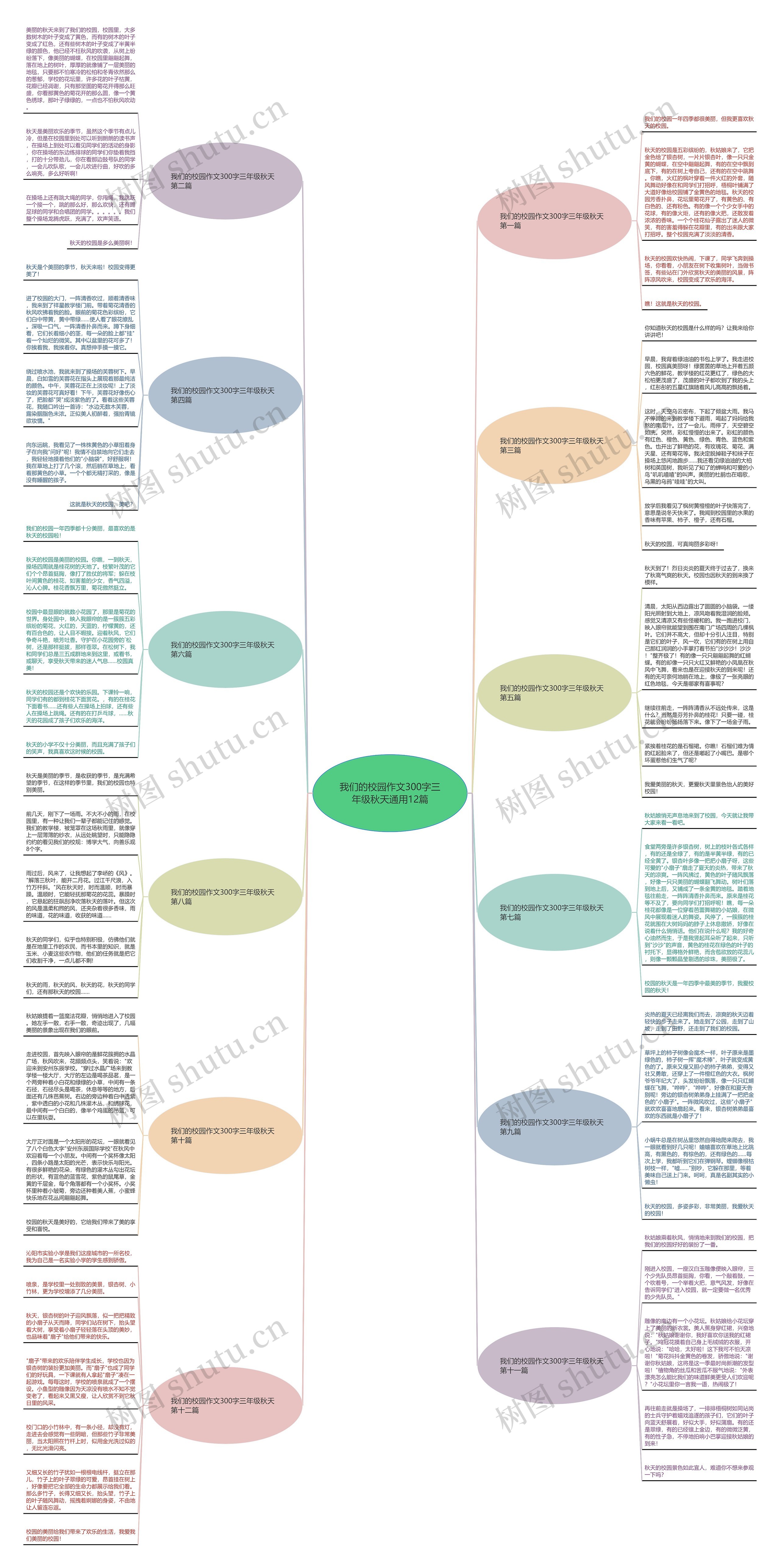 我们的校园作文300字三年级秋天通用12篇思维导图