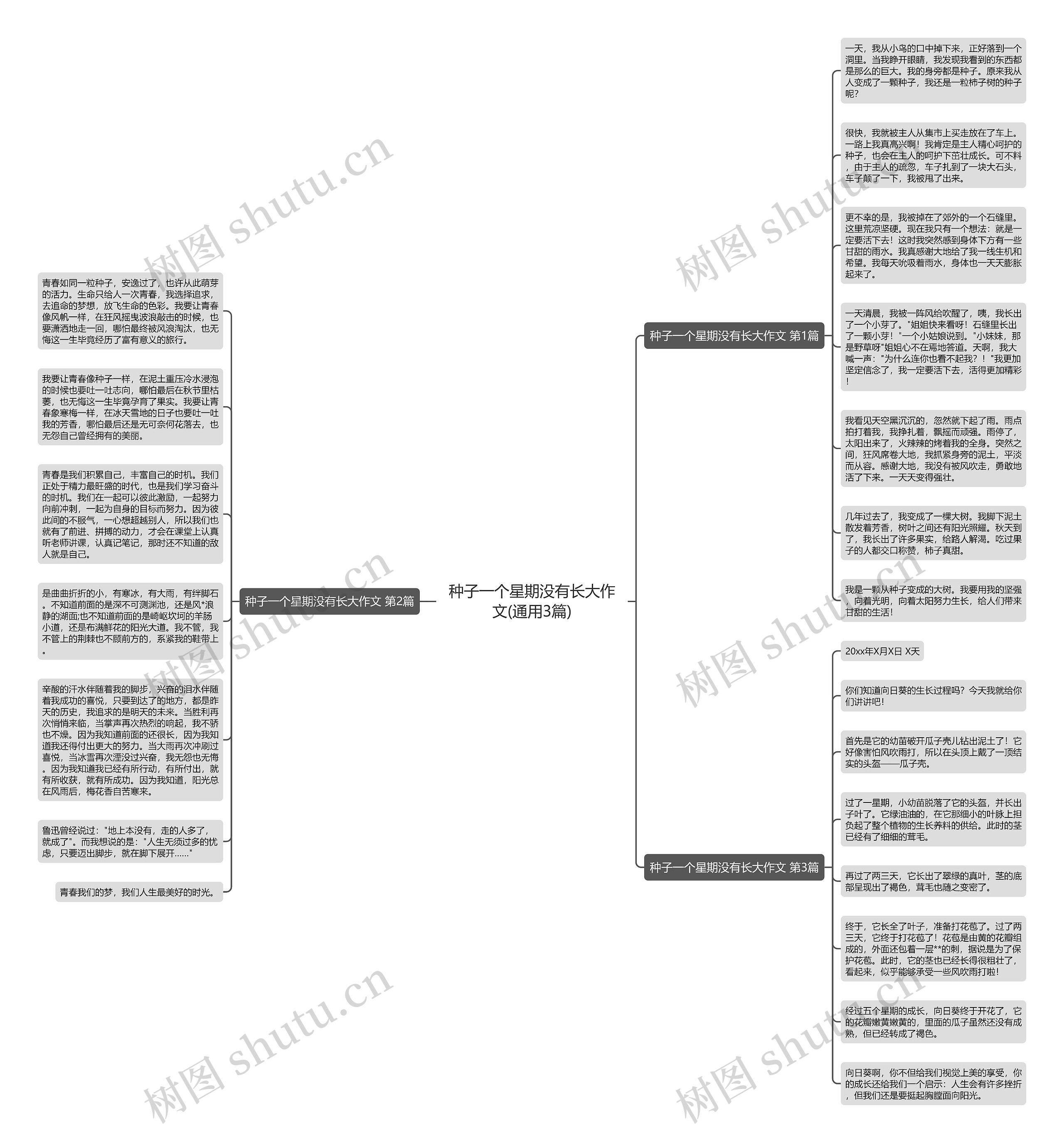种子一个星期没有长大作文(通用3篇)思维导图