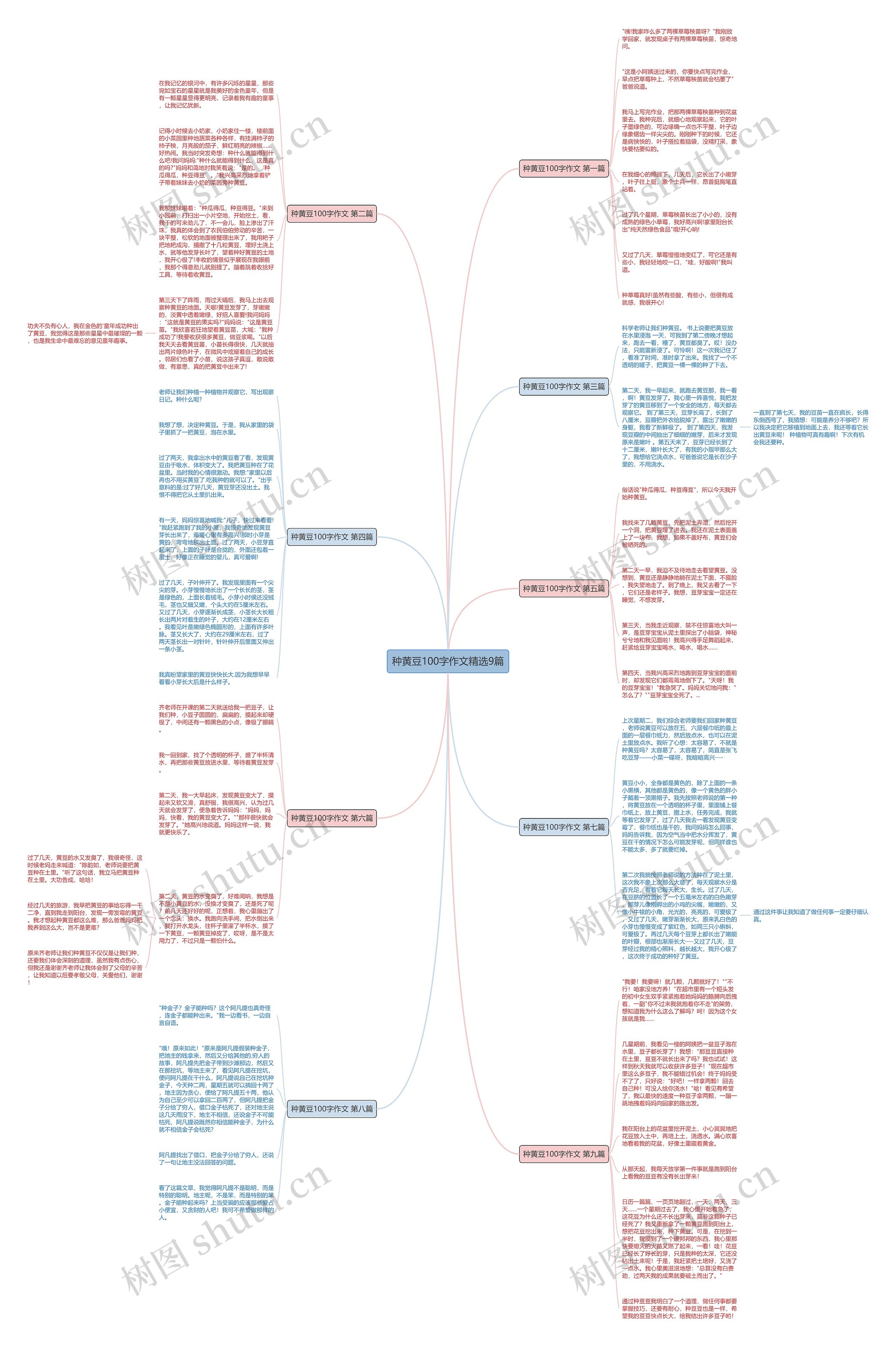 种黄豆100字作文精选9篇思维导图