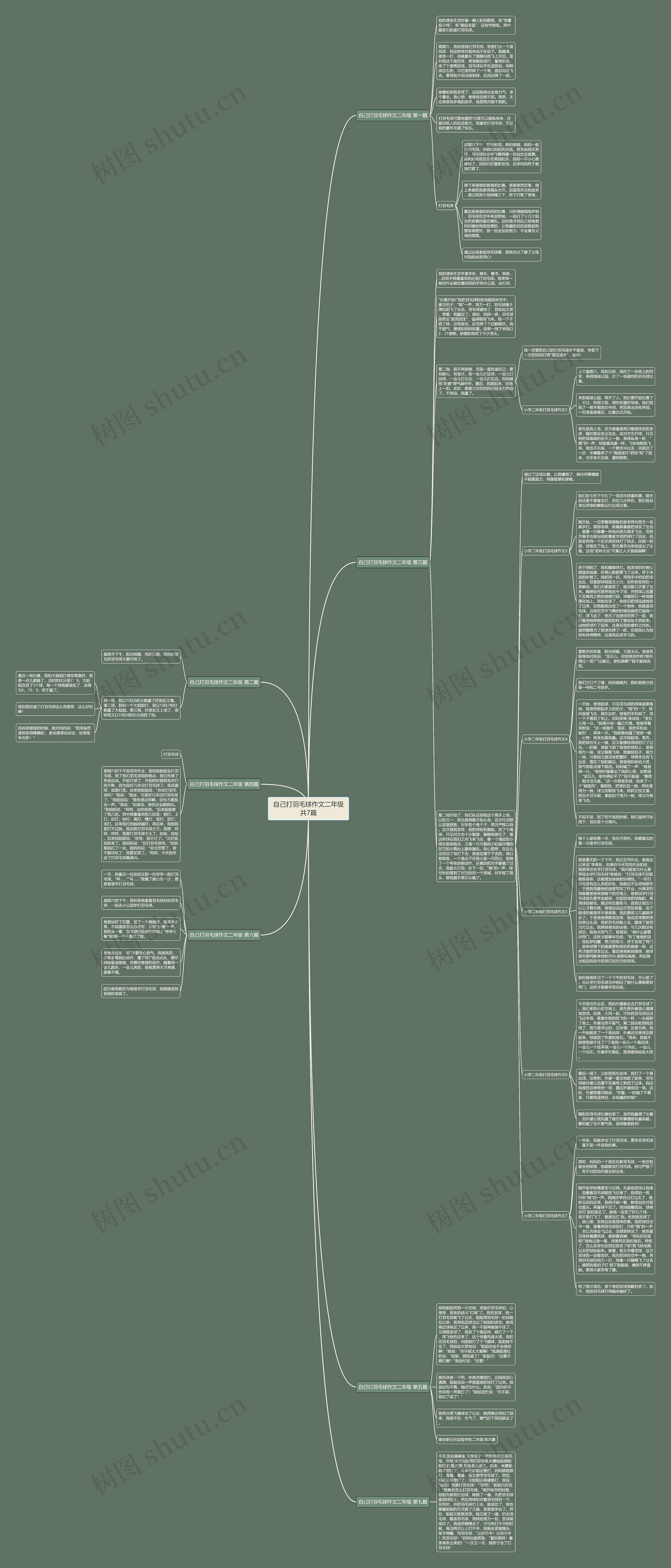 自己打羽毛球作文二年级共7篇思维导图