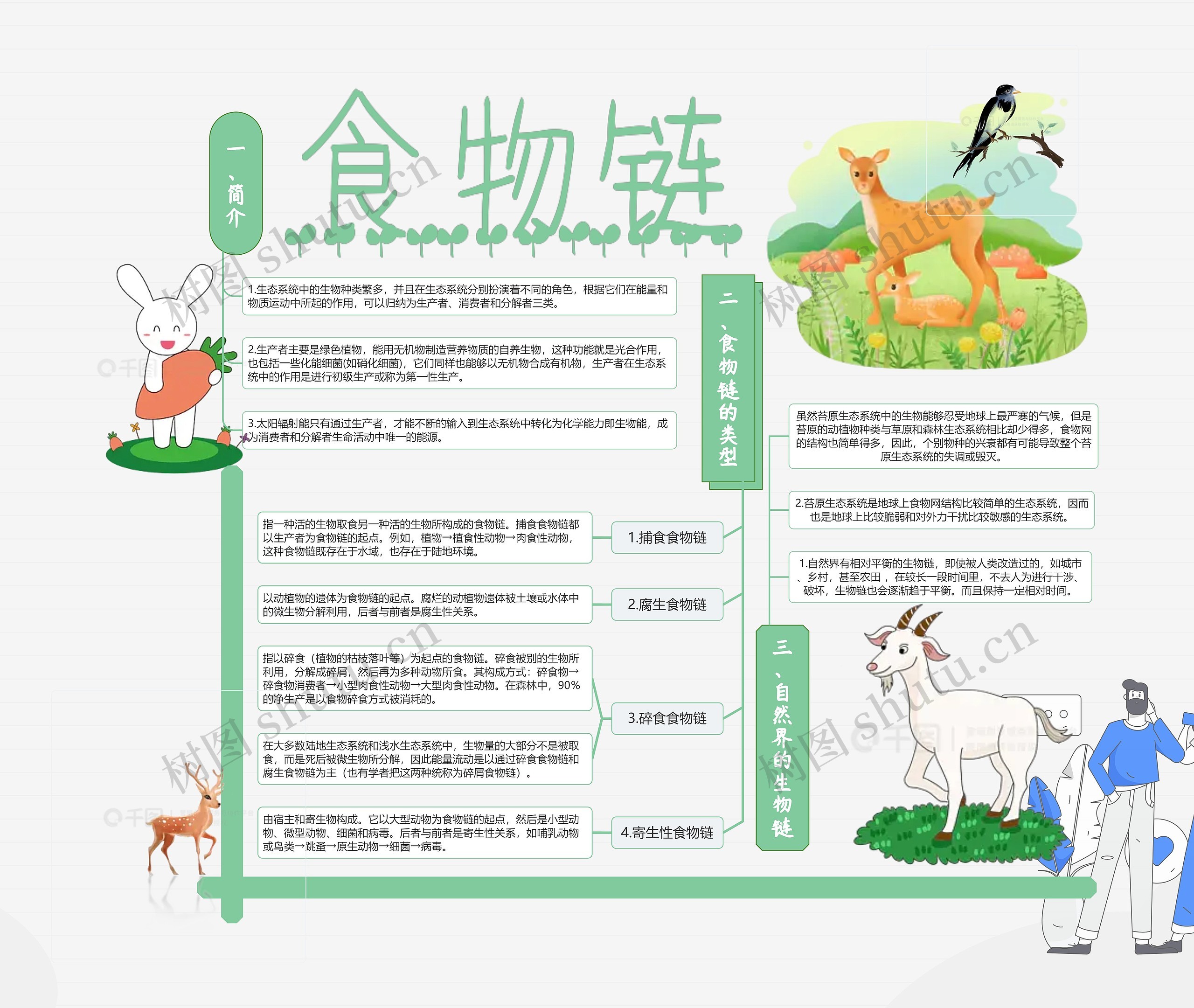 食物链思维导图