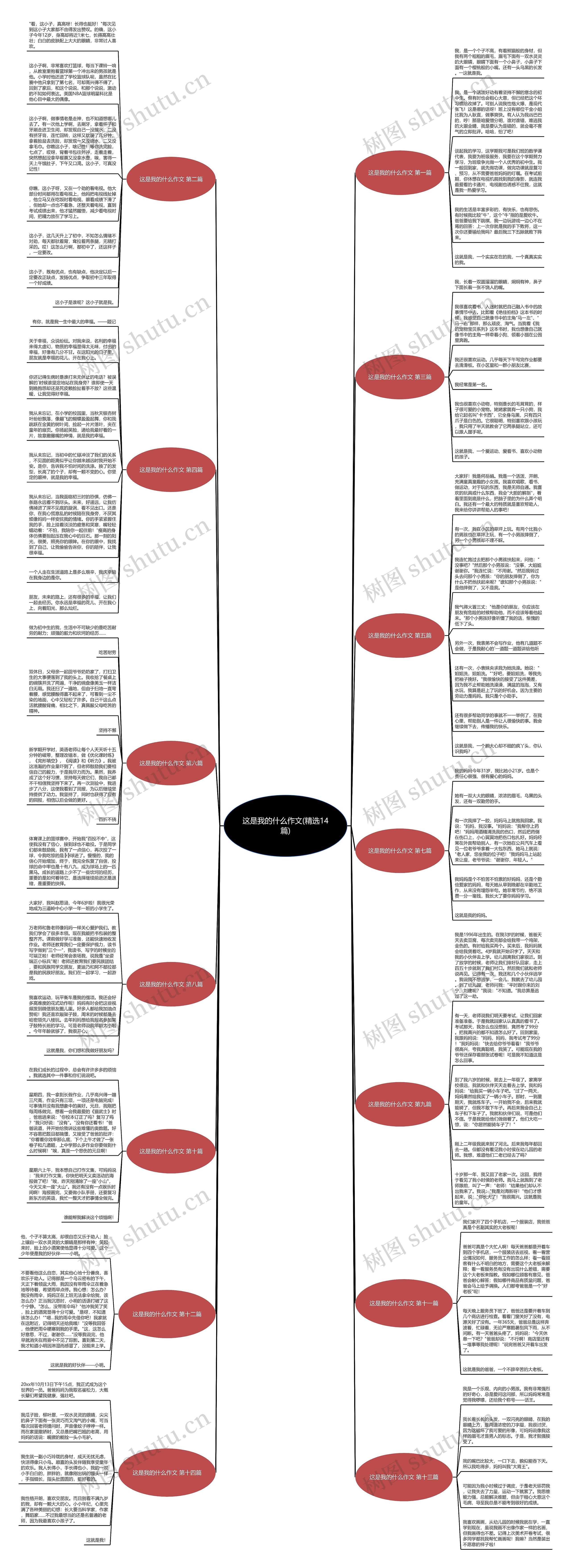 这是我的什么作文(精选14篇)思维导图