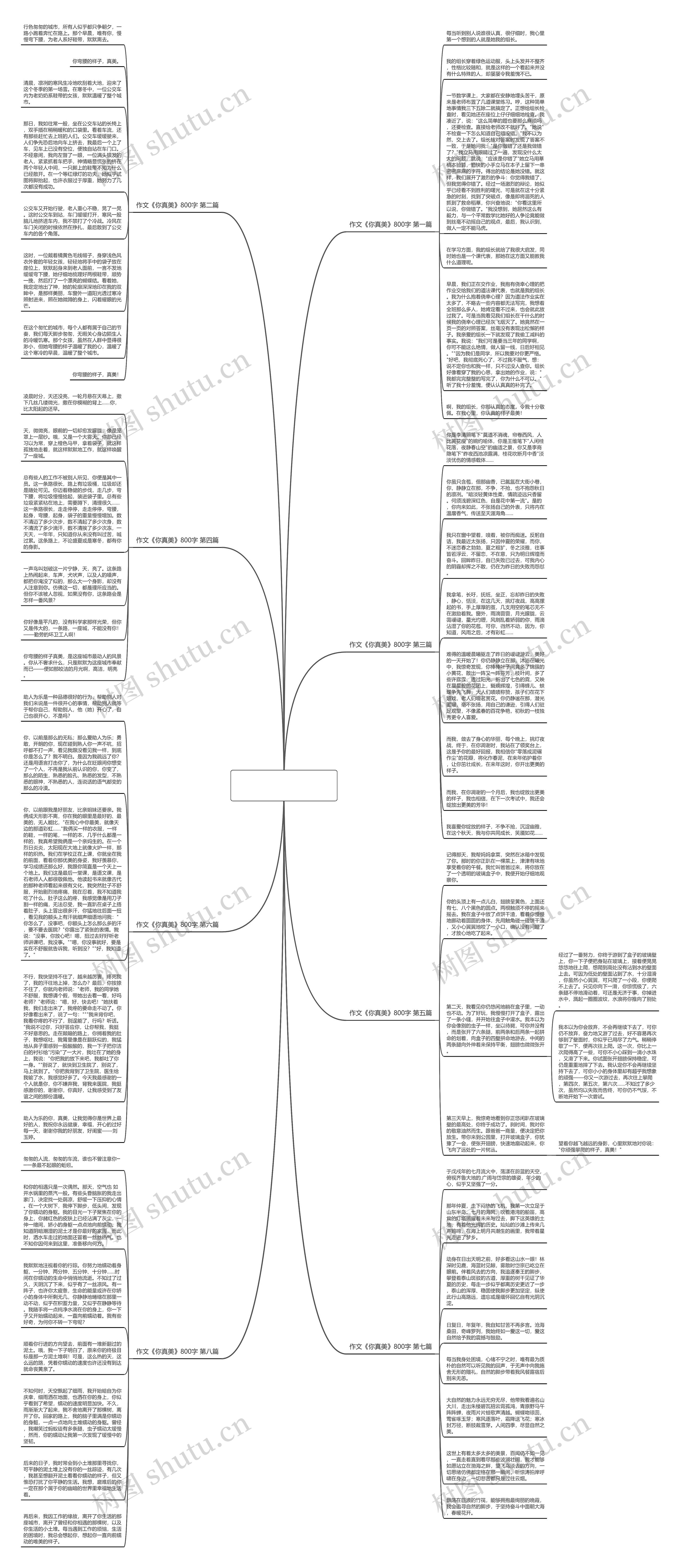 作文《你真美》800字(8篇)思维导图