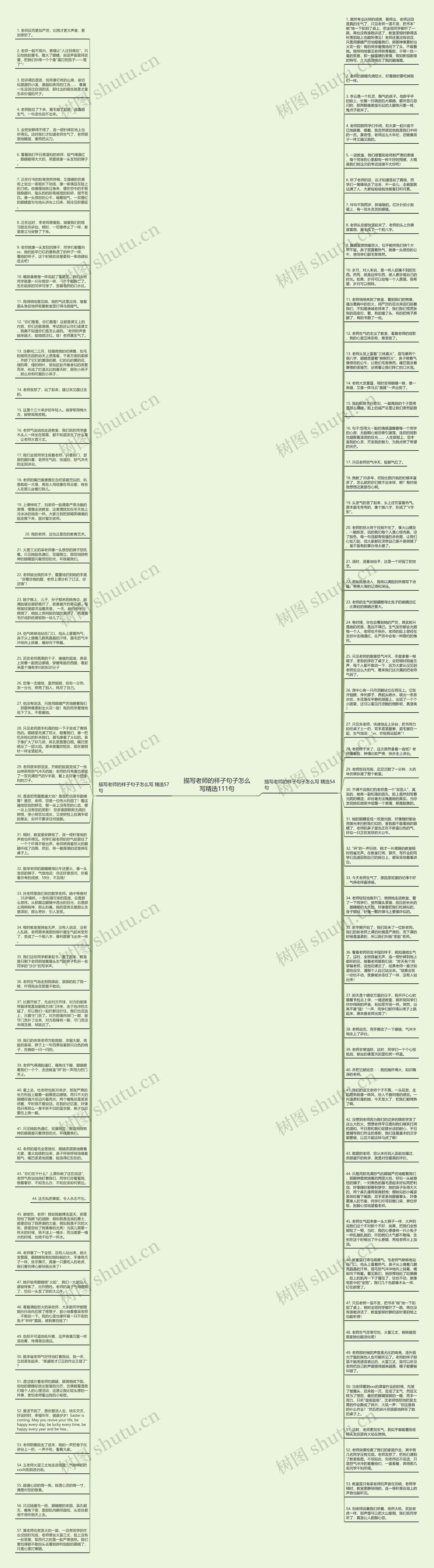 描写老师的样子句子怎么写精选111句思维导图