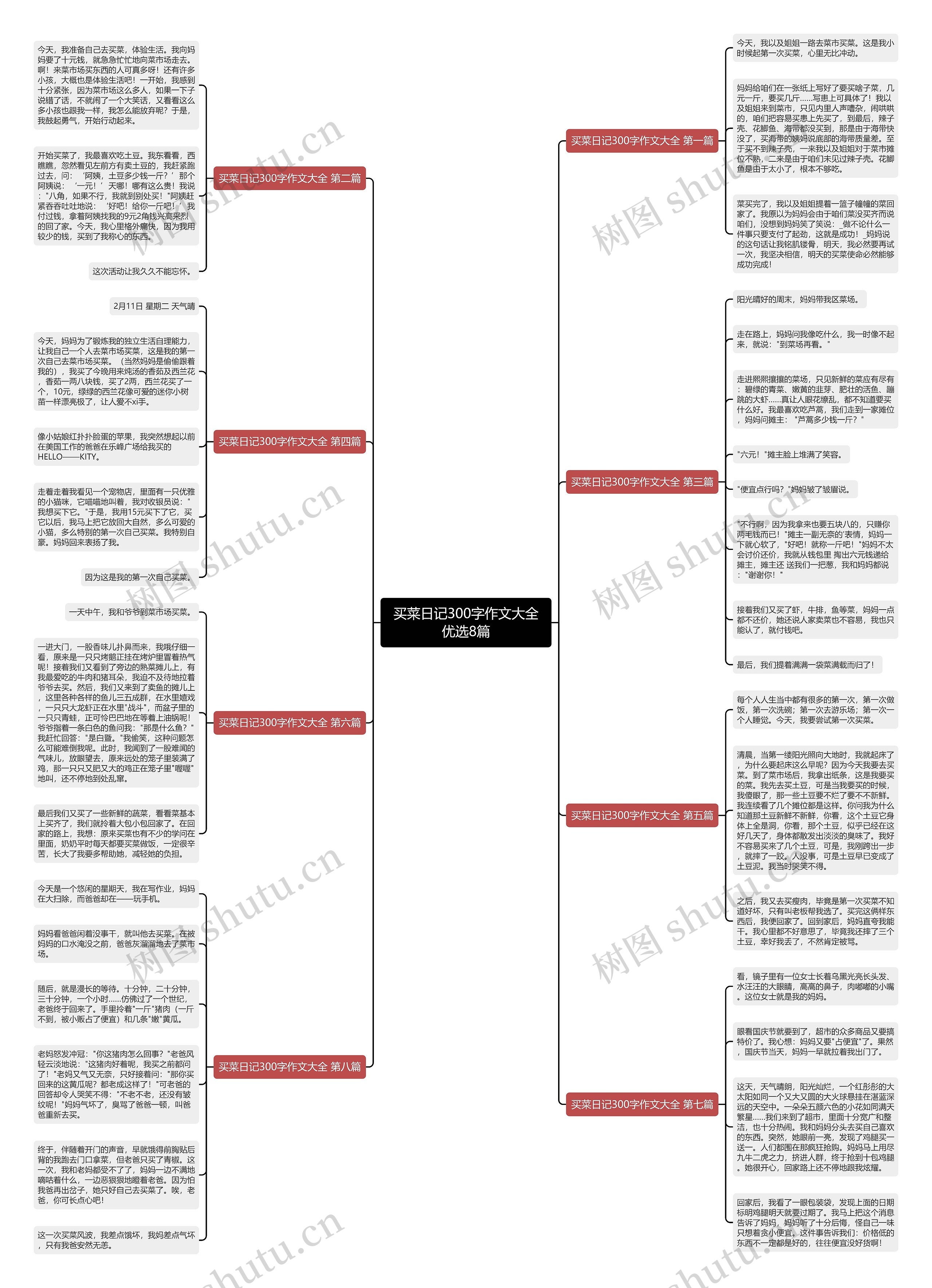 买菜日记300字作文大全优选8篇思维导图