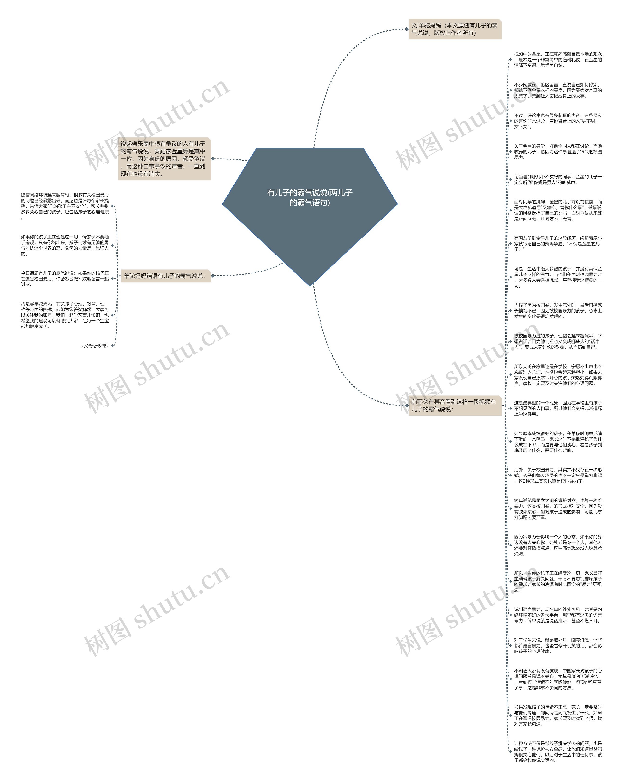 有儿子的霸气说说(两儿子的霸气语句)思维导图