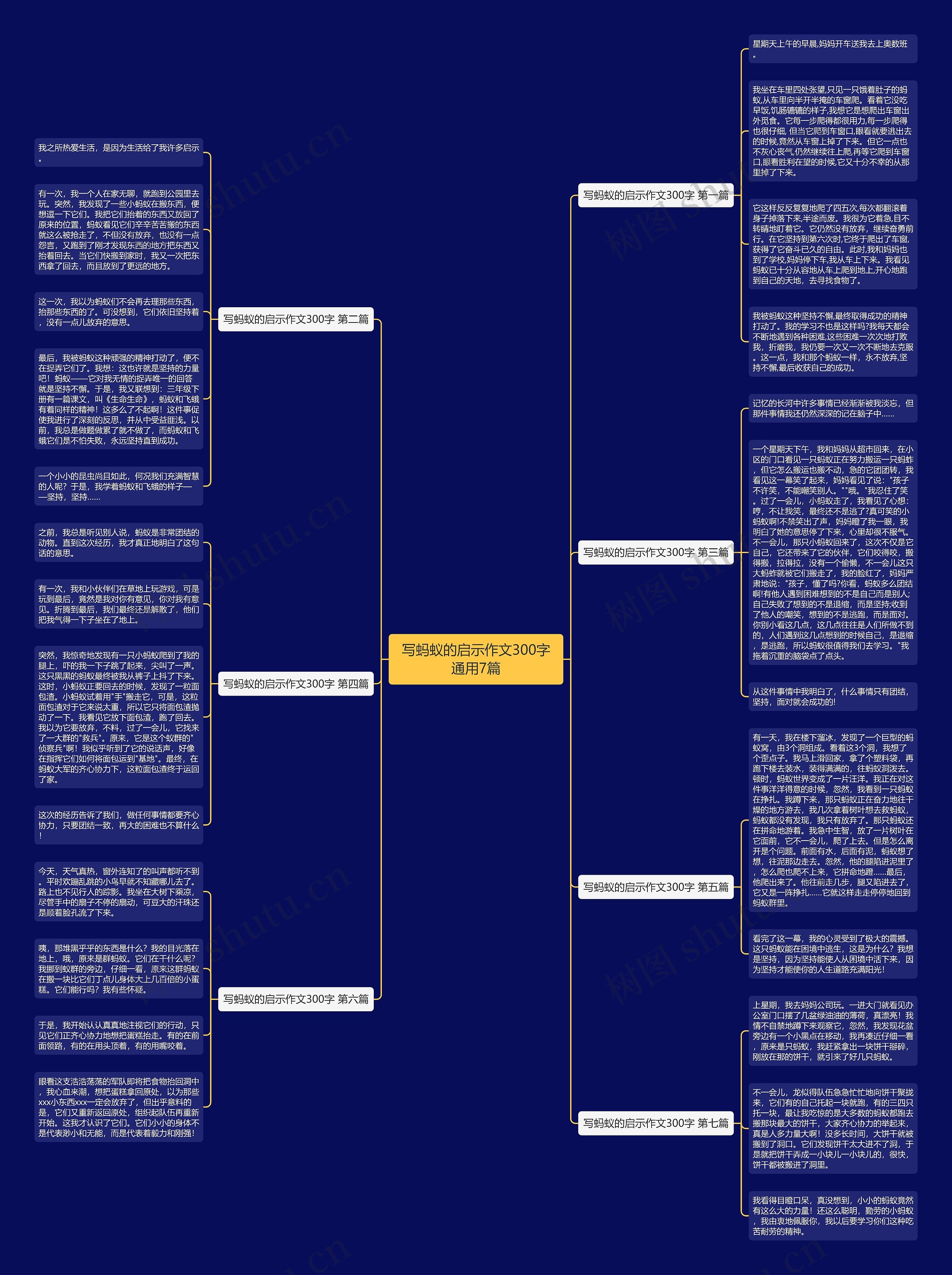 写蚂蚁的启示作文300字通用7篇思维导图