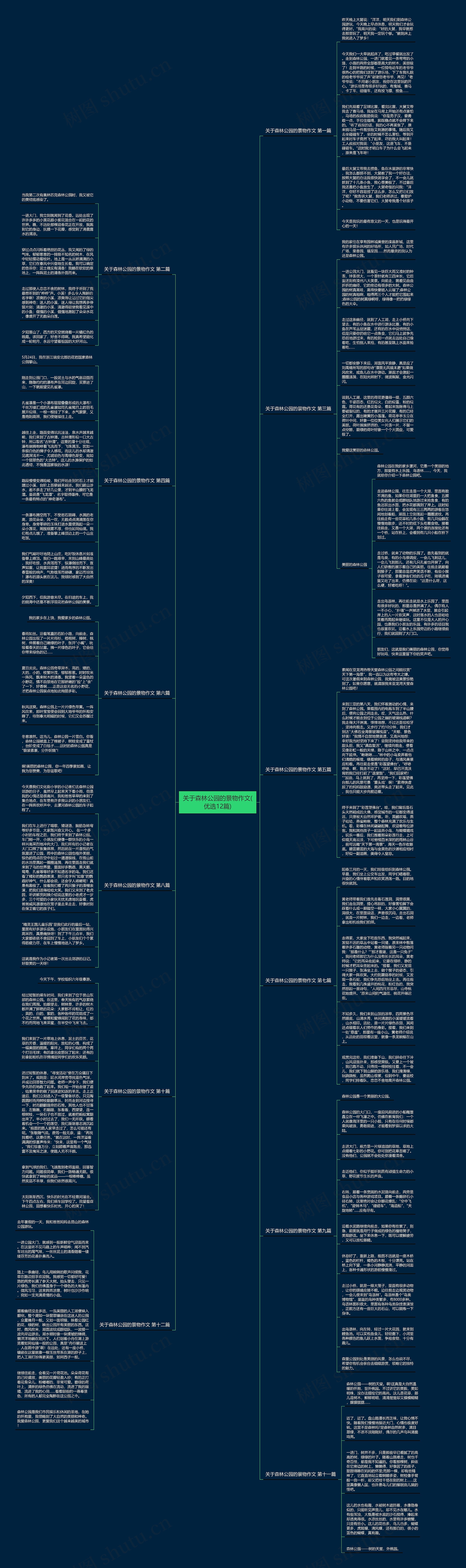 关于森林公园的景物作文(优选12篇)思维导图