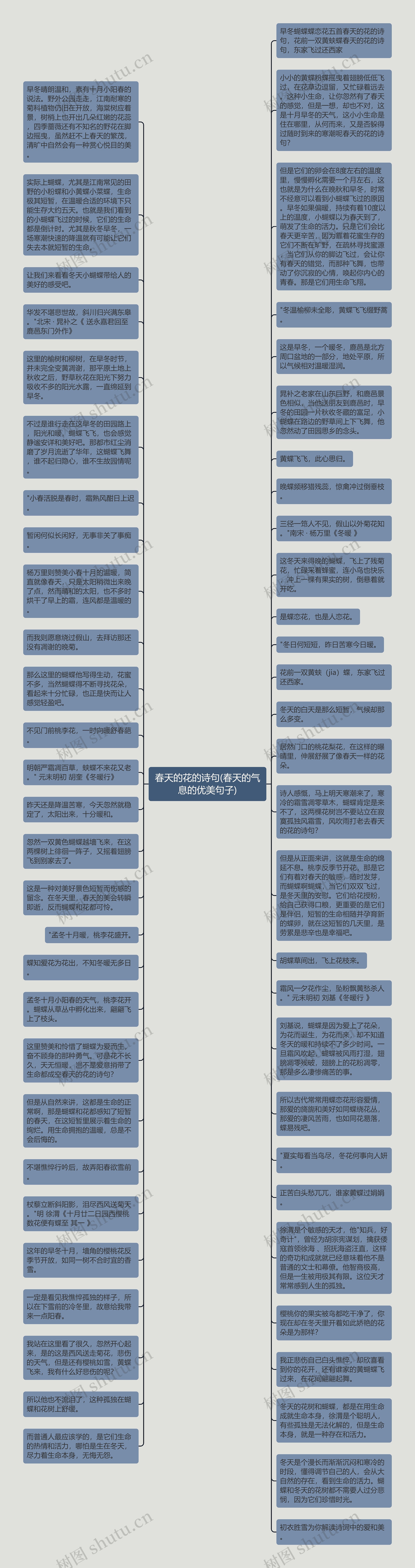 春天的花的诗句(春天的气息的优美句子)思维导图