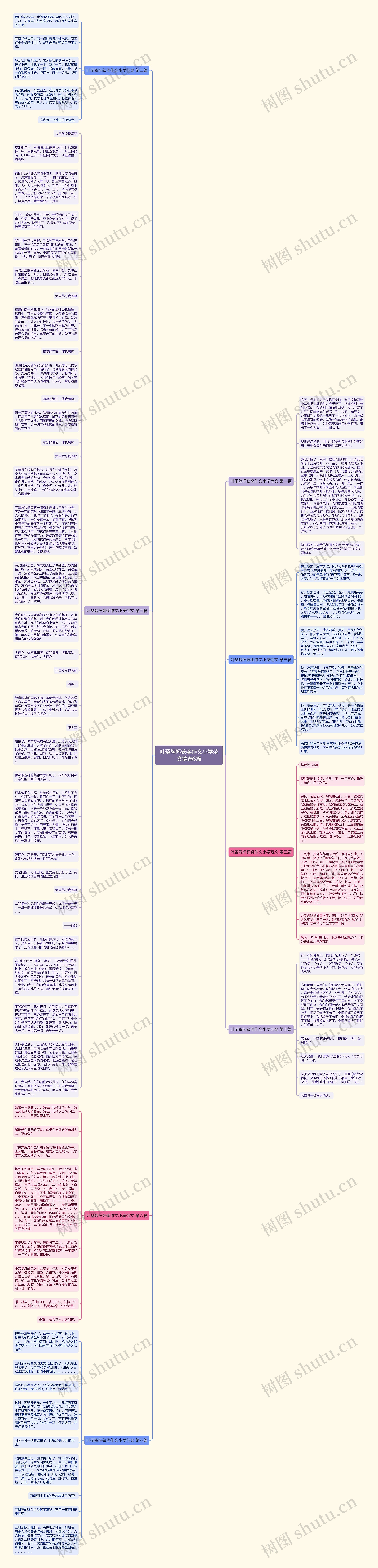 叶圣陶杯获奖作文小学范文精选8篇思维导图
