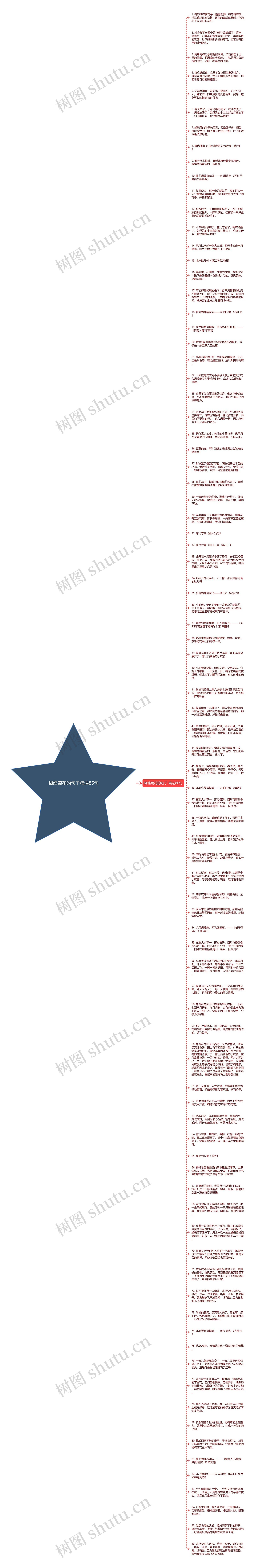 蝴蝶菊花的句子精选86句思维导图