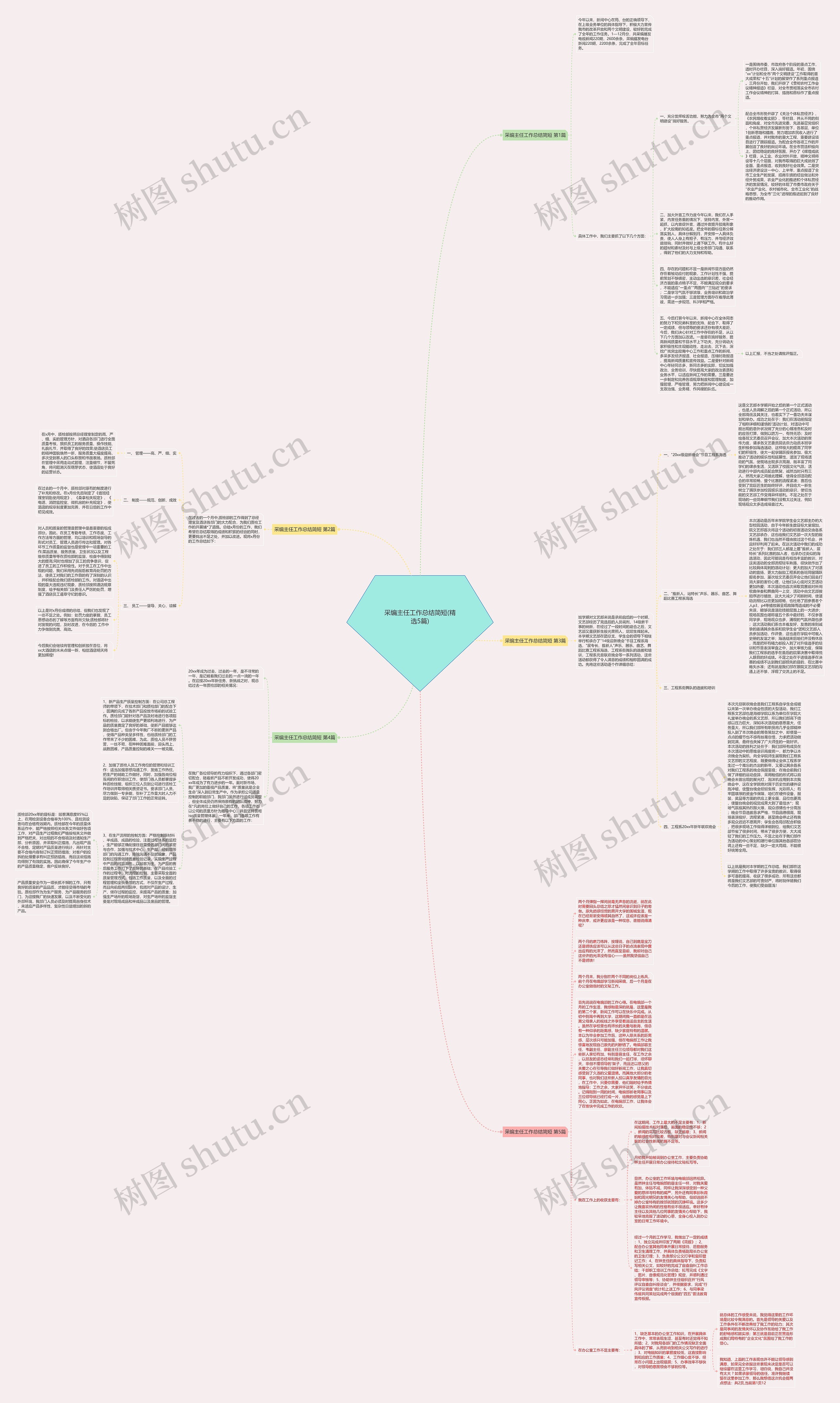 采编主任工作总结简短(精选5篇)思维导图