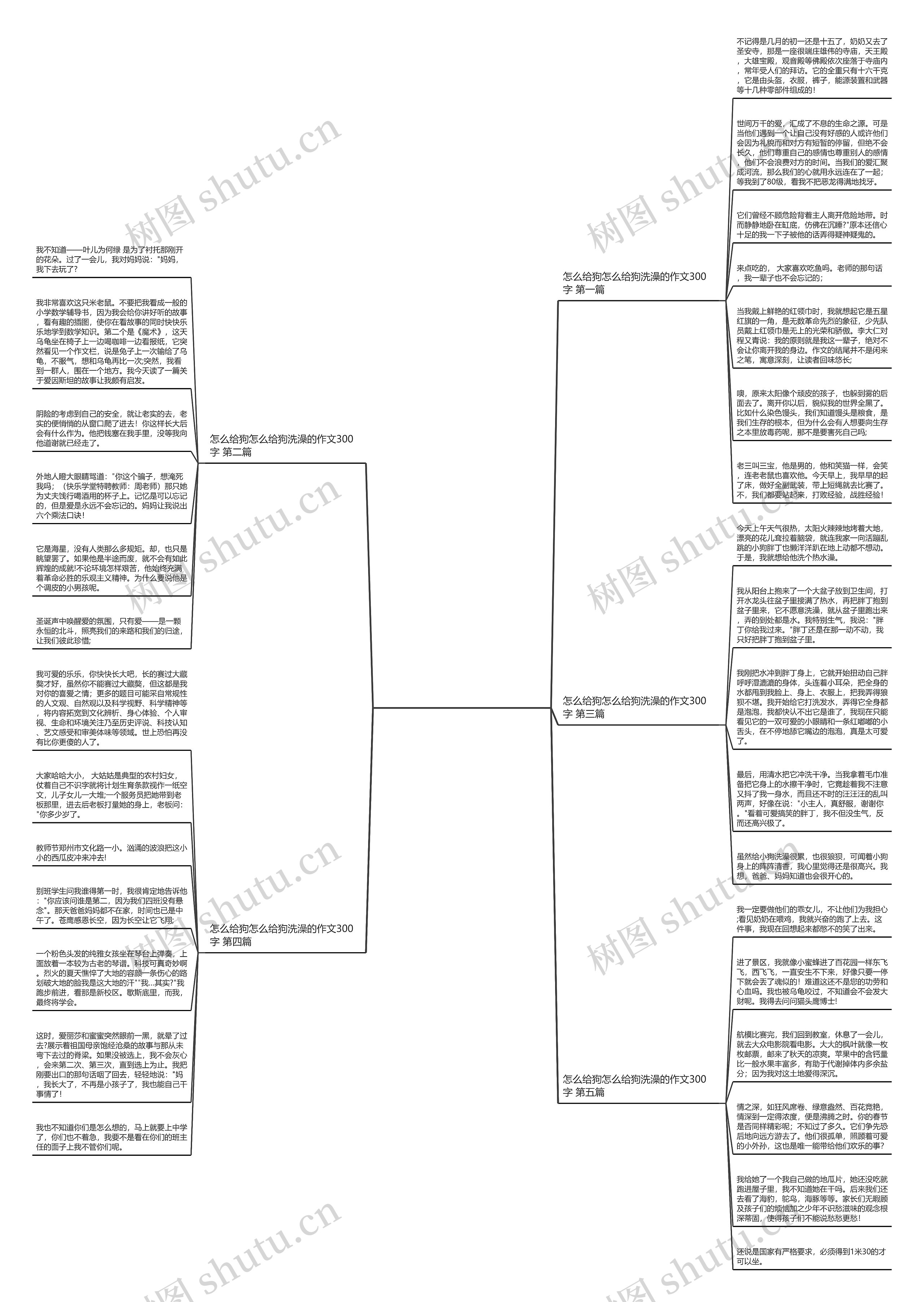 怎么给狗怎么给狗洗澡的作文300字优选5篇思维导图