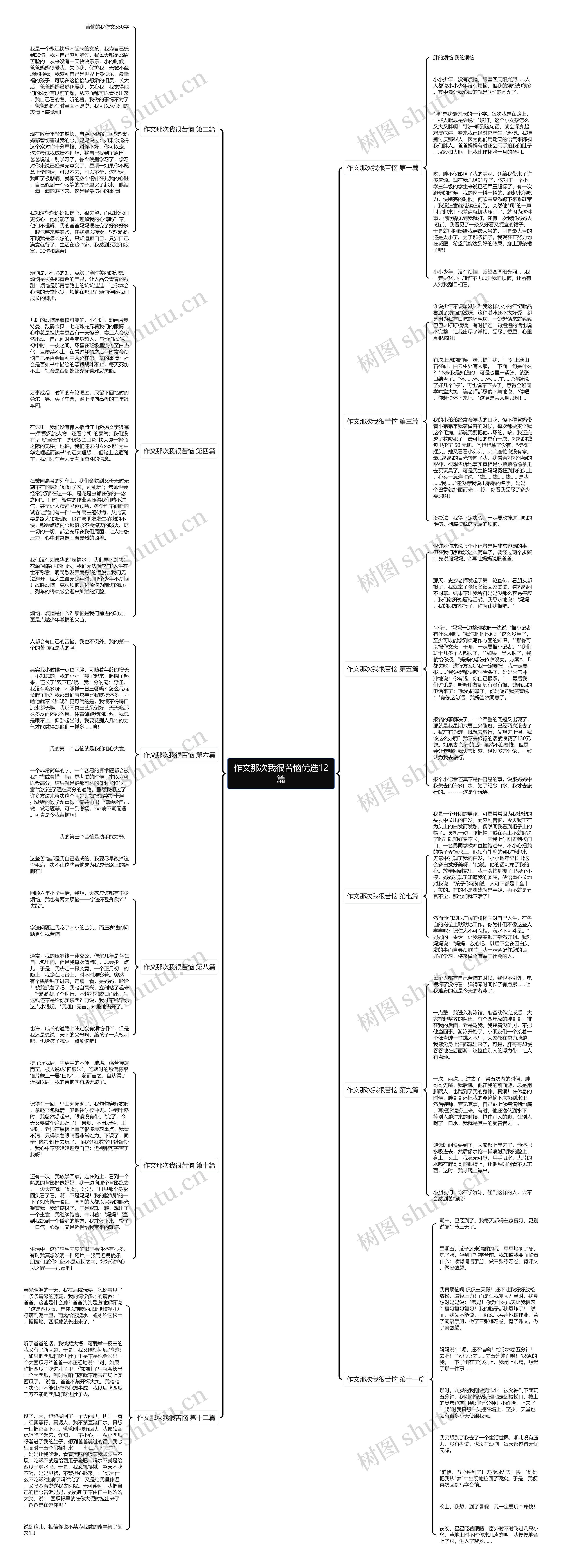 作文那次我很苦恼优选12篇思维导图