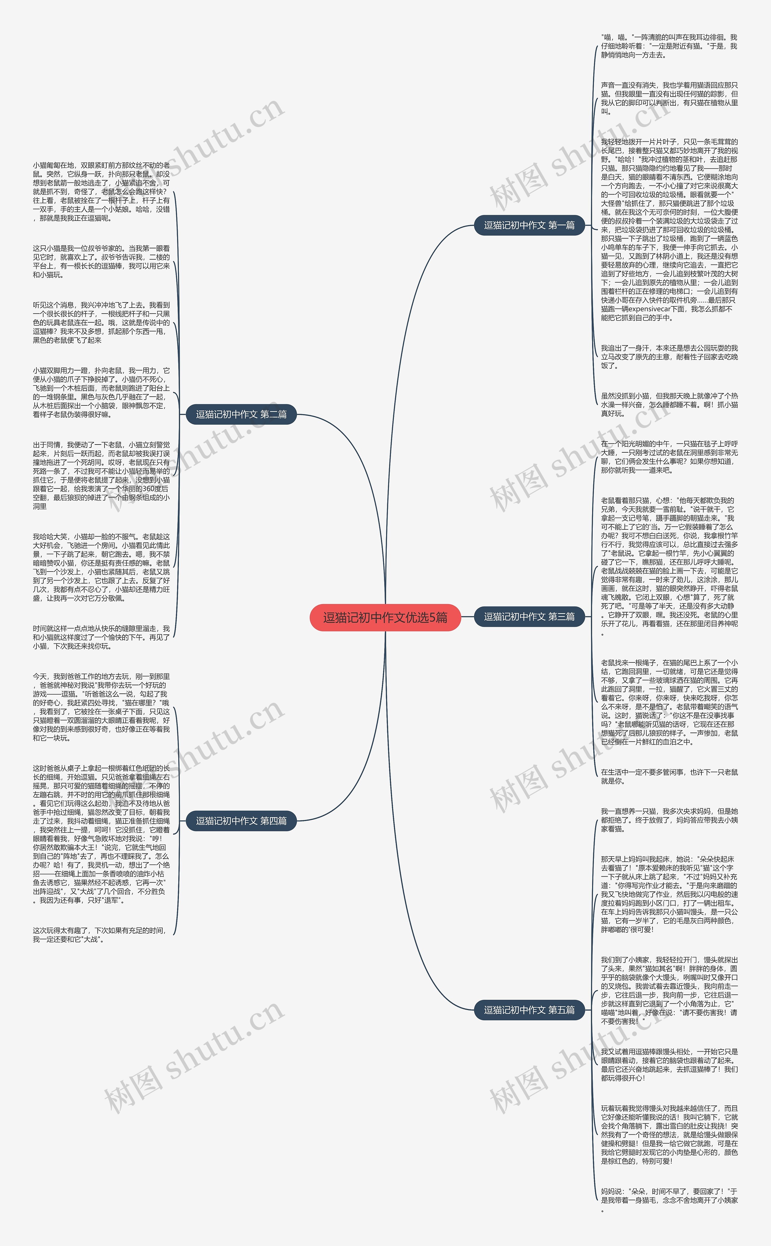 逗猫记初中作文优选5篇思维导图
