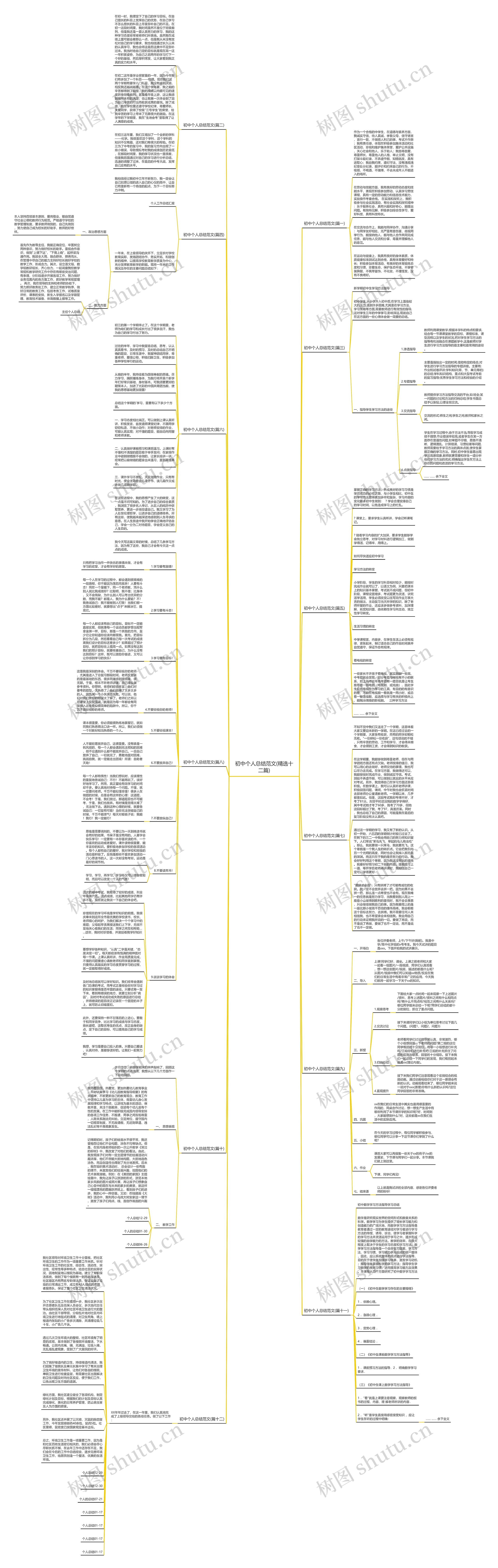 初中个人总结范文(精选十二篇)思维导图