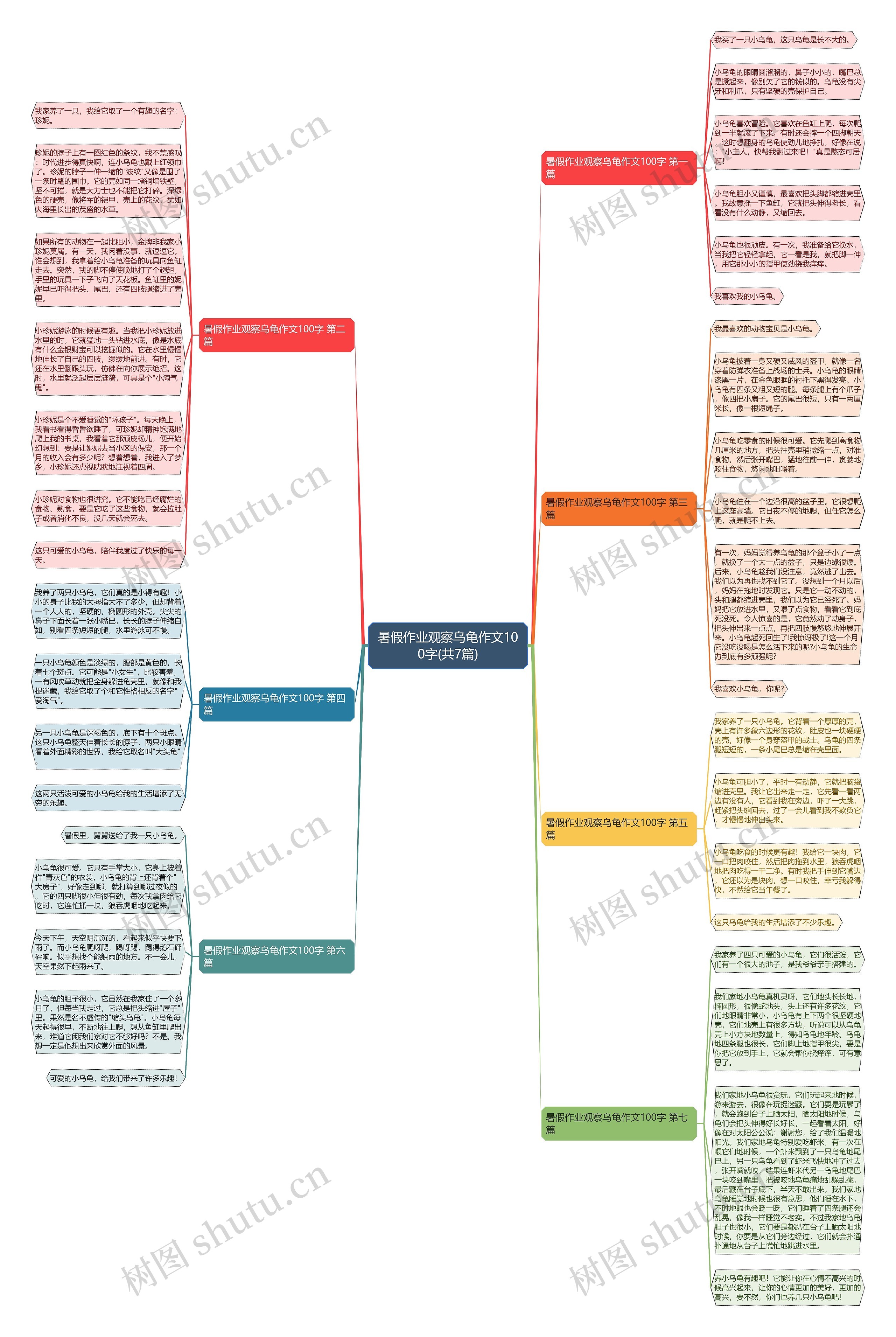 暑假作业观察乌龟作文100字(共7篇)思维导图