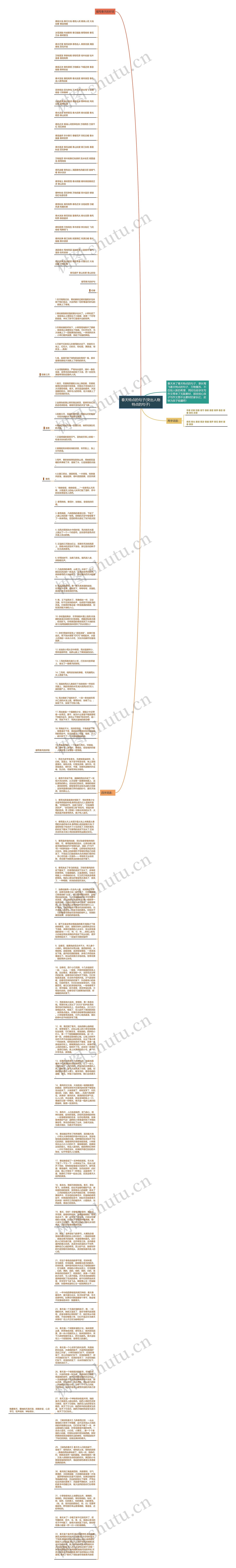 春天特点的句子(突出人物特点的句子)