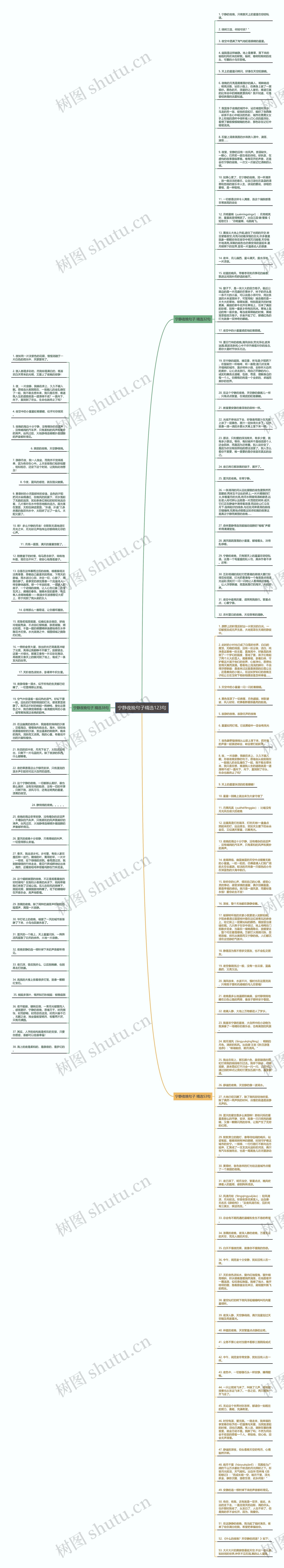 宁静夜晚句子精选123句思维导图