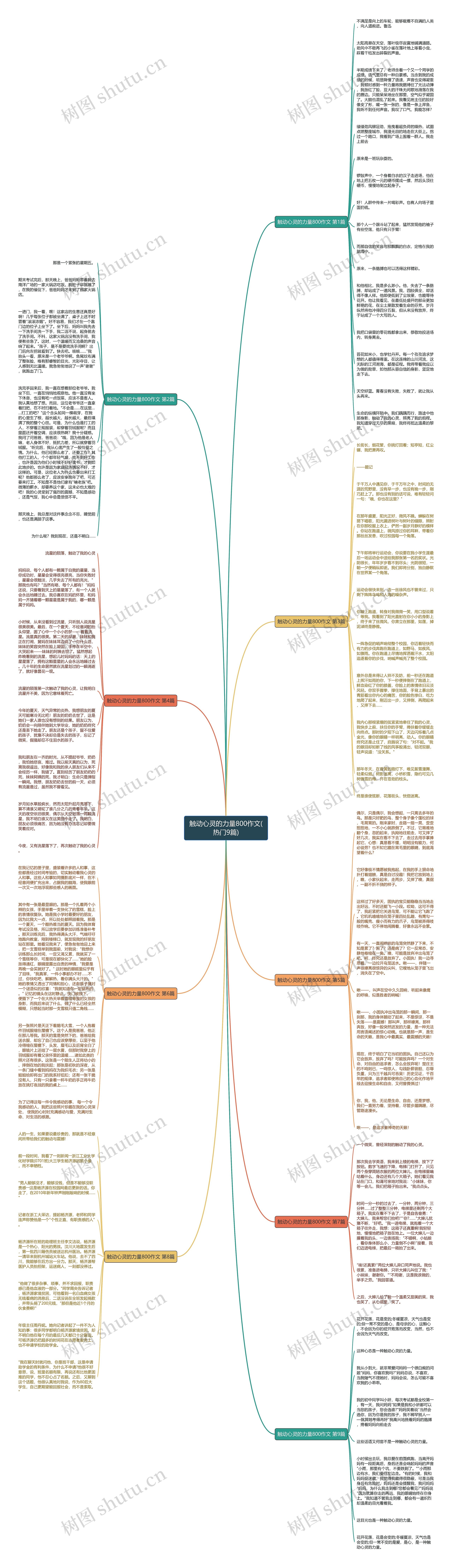 触动心灵的力量800作文(热门9篇)思维导图
