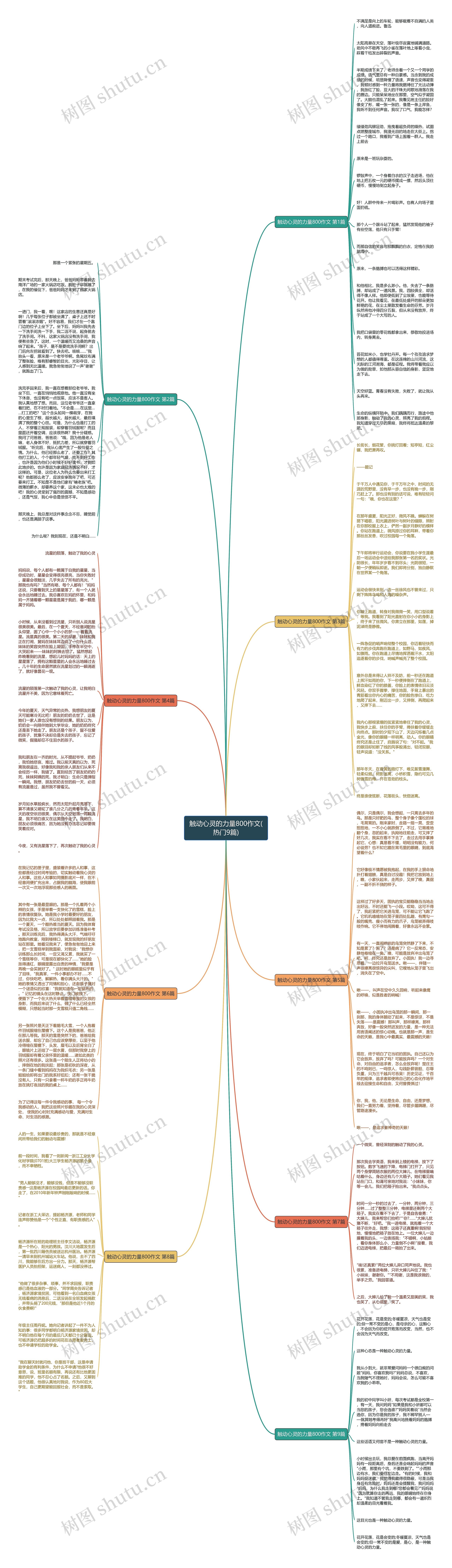 触动心灵的力量800作文(热门9篇)思维导图高清图 触动心灵的力量800作文(热门9篇)思维导图