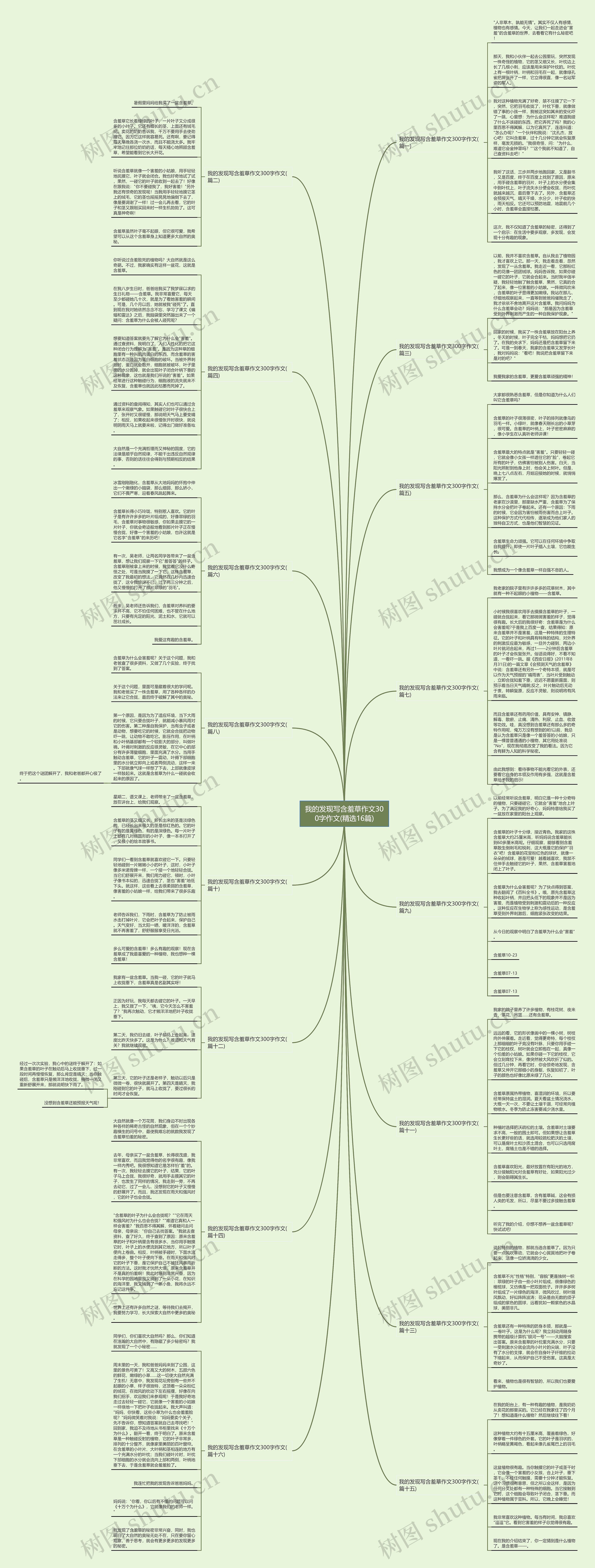 我的发现写含羞草作文300字作文(精选16篇)思维导图