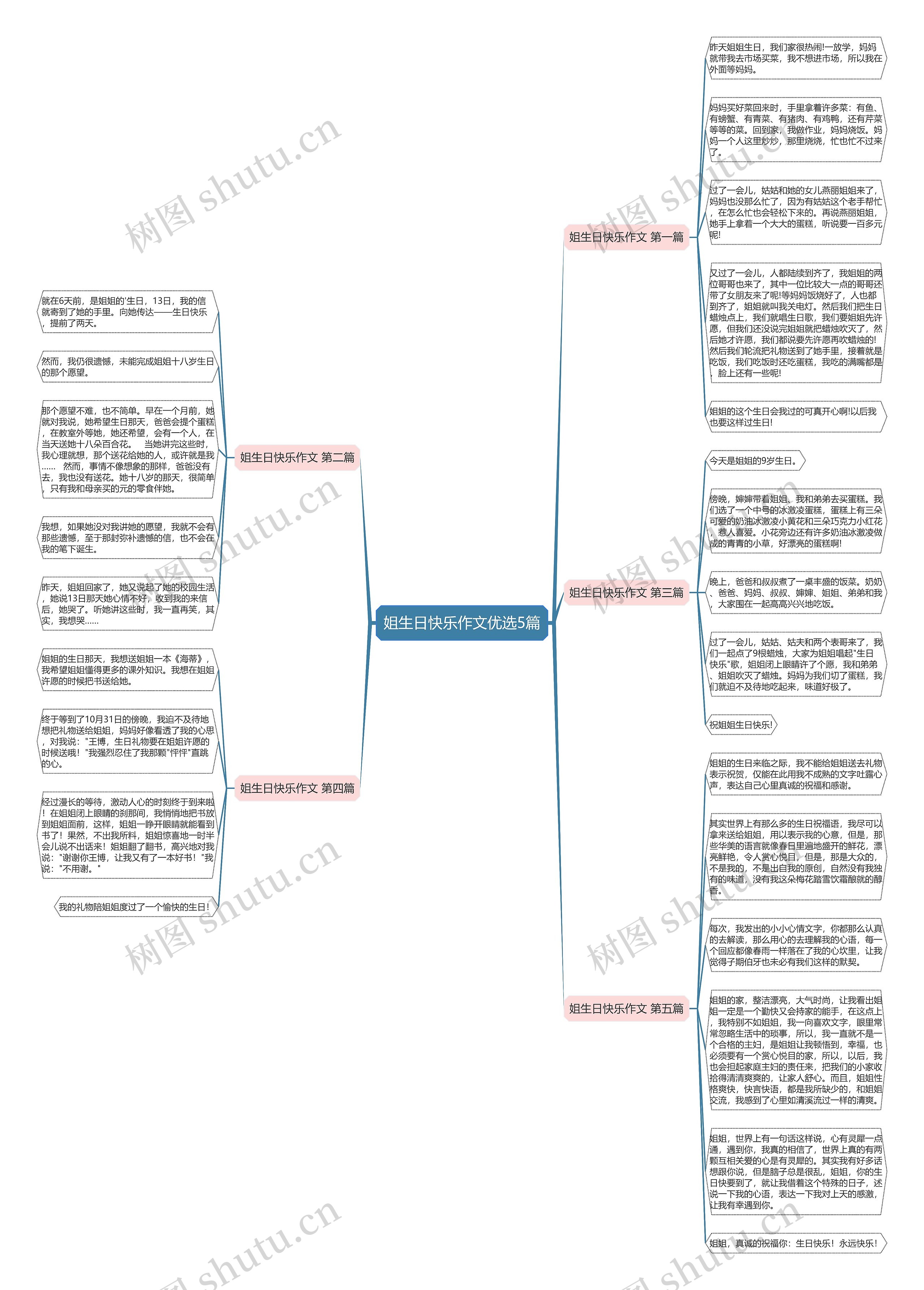 姐生日快乐作文优选5篇思维导图