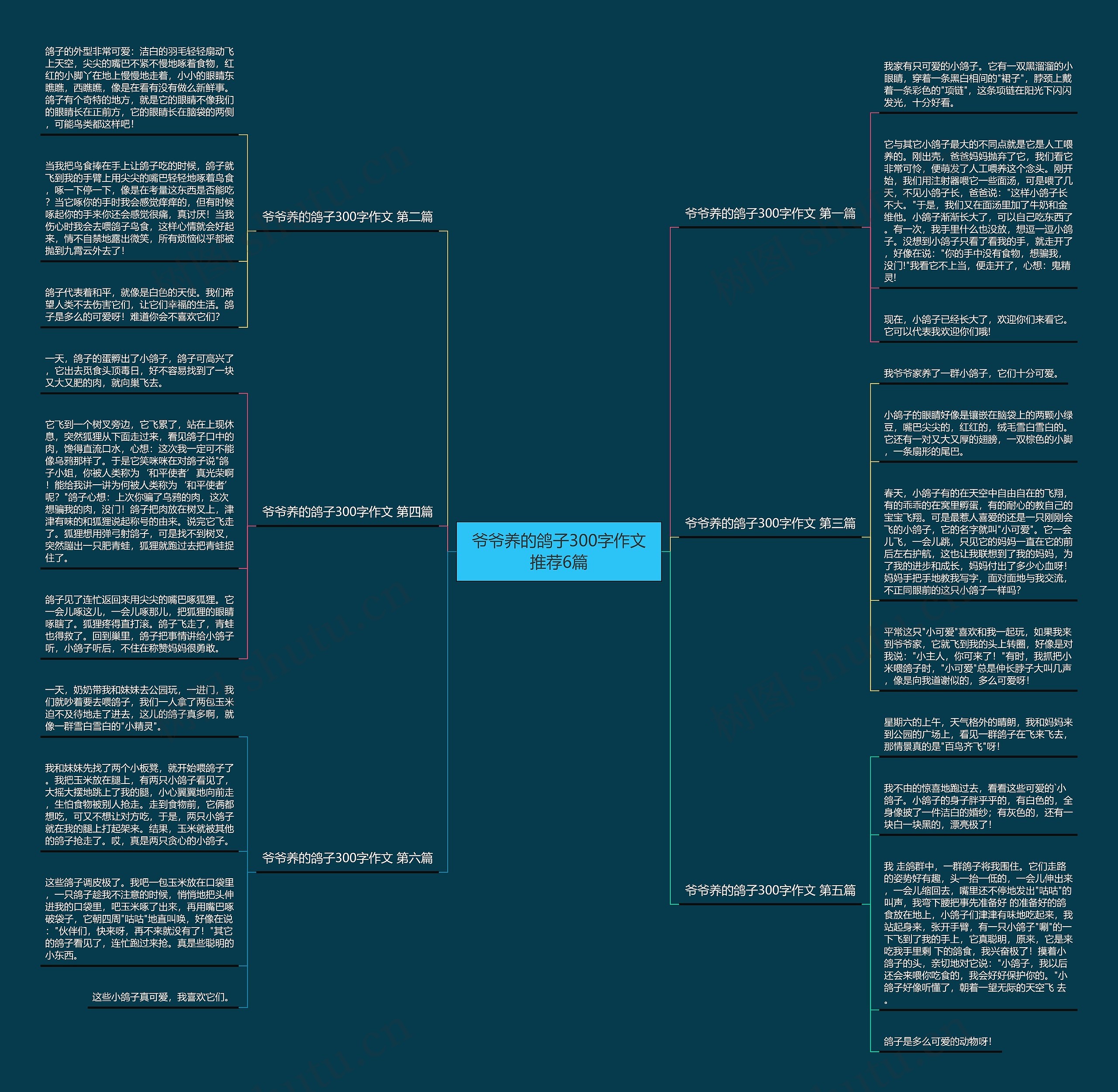 爷爷养的鸽子300字作文推荐6篇思维导图