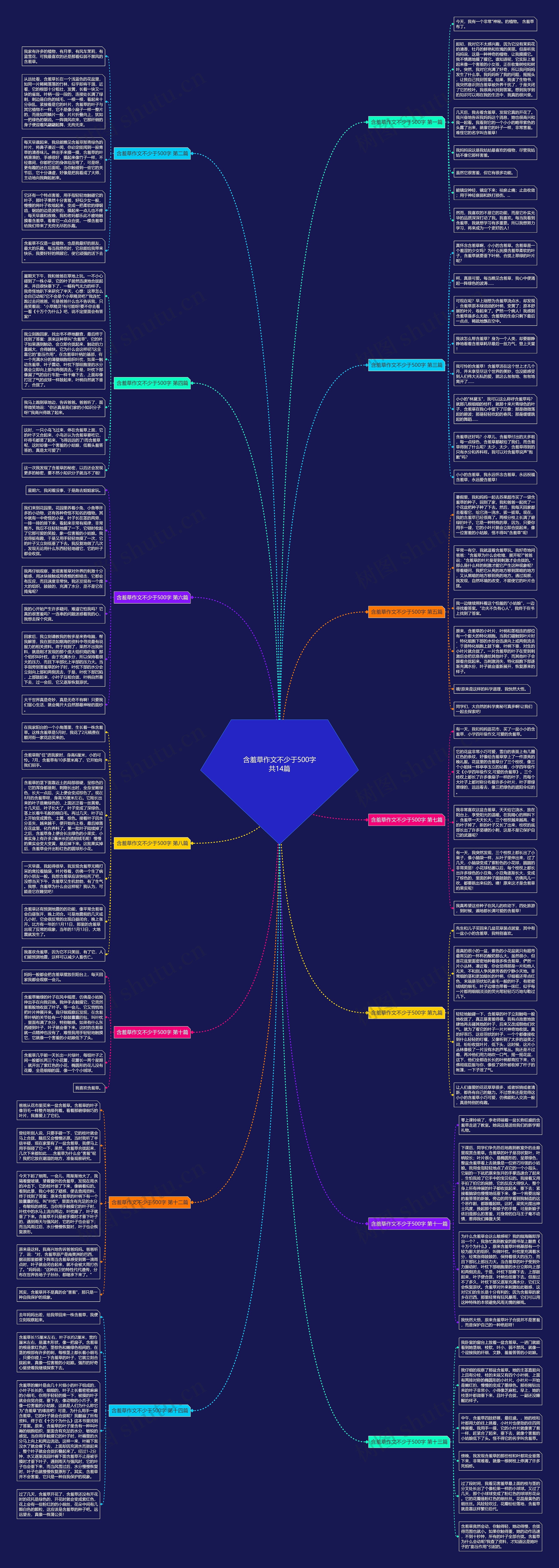 含羞草作文不少于500字共14篇思维导图