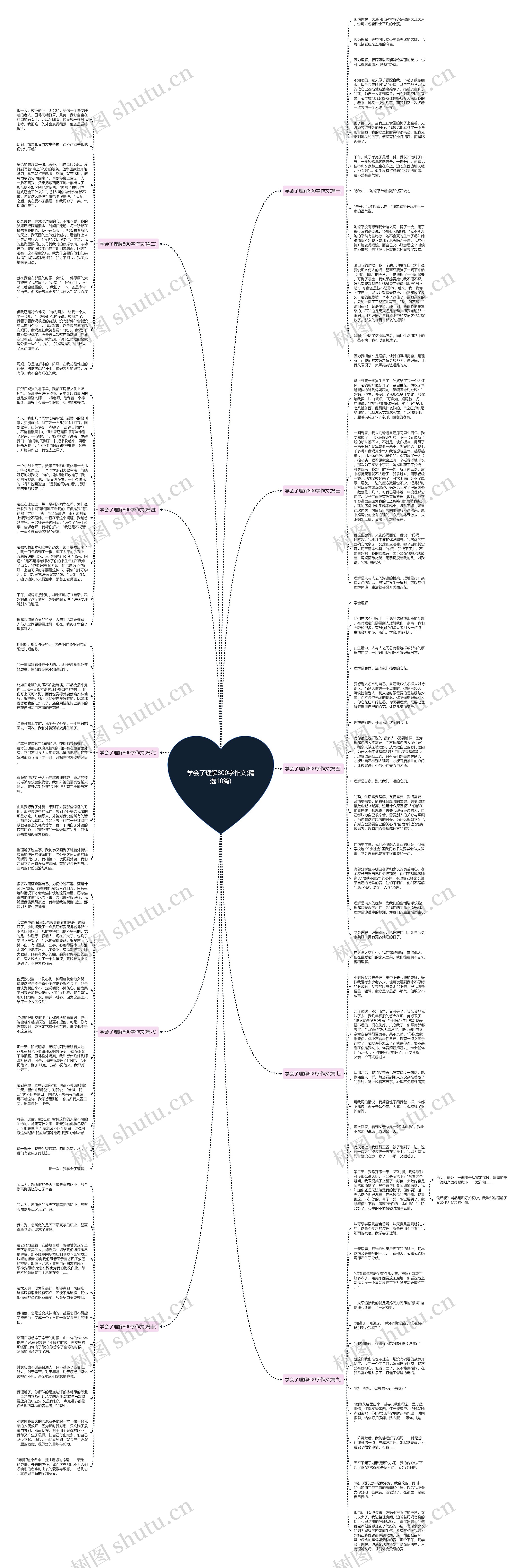 学会了理解800字作文(精选10篇)思维导图