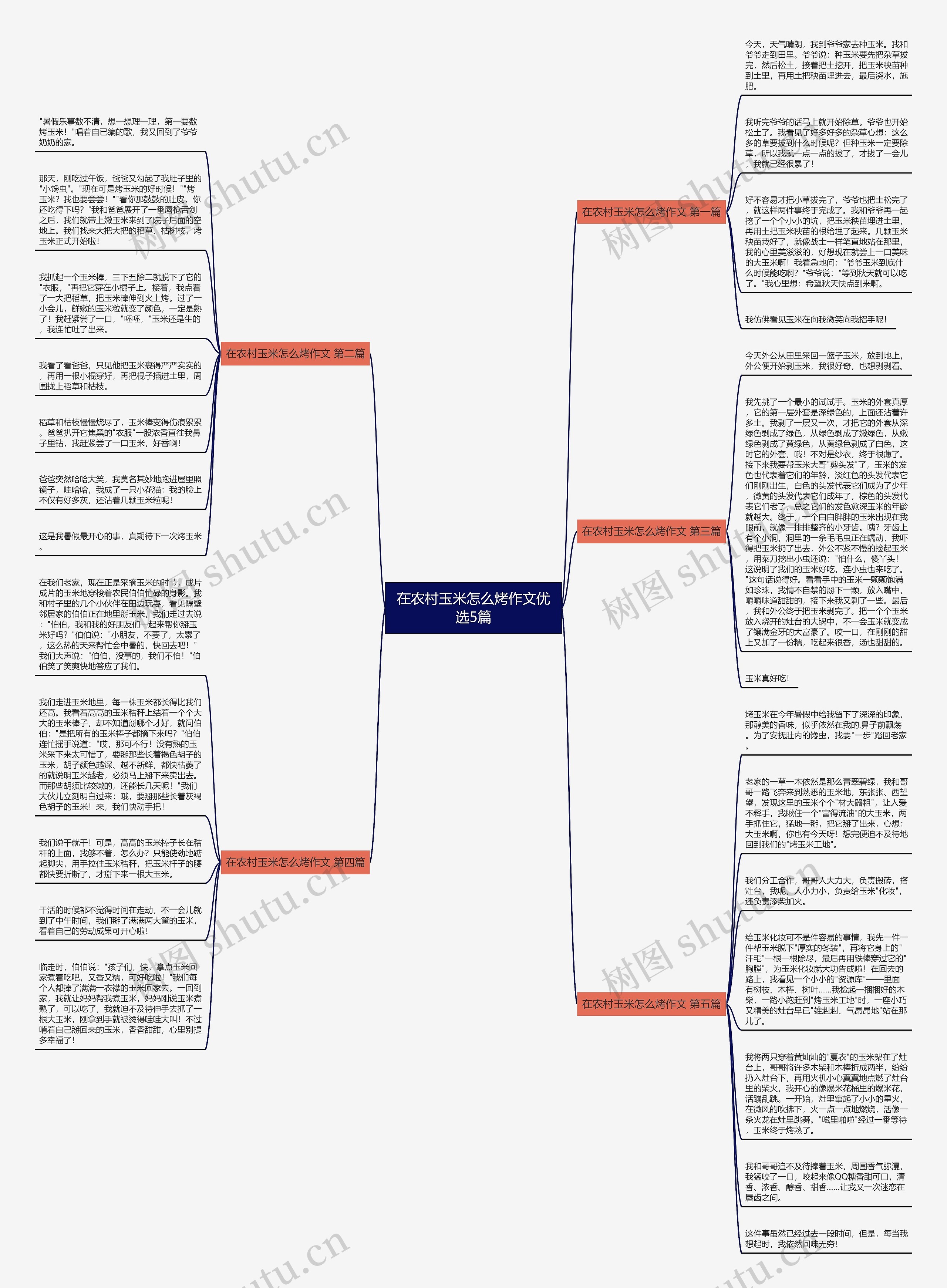 在农村玉米怎么烤作文优选5篇思维导图