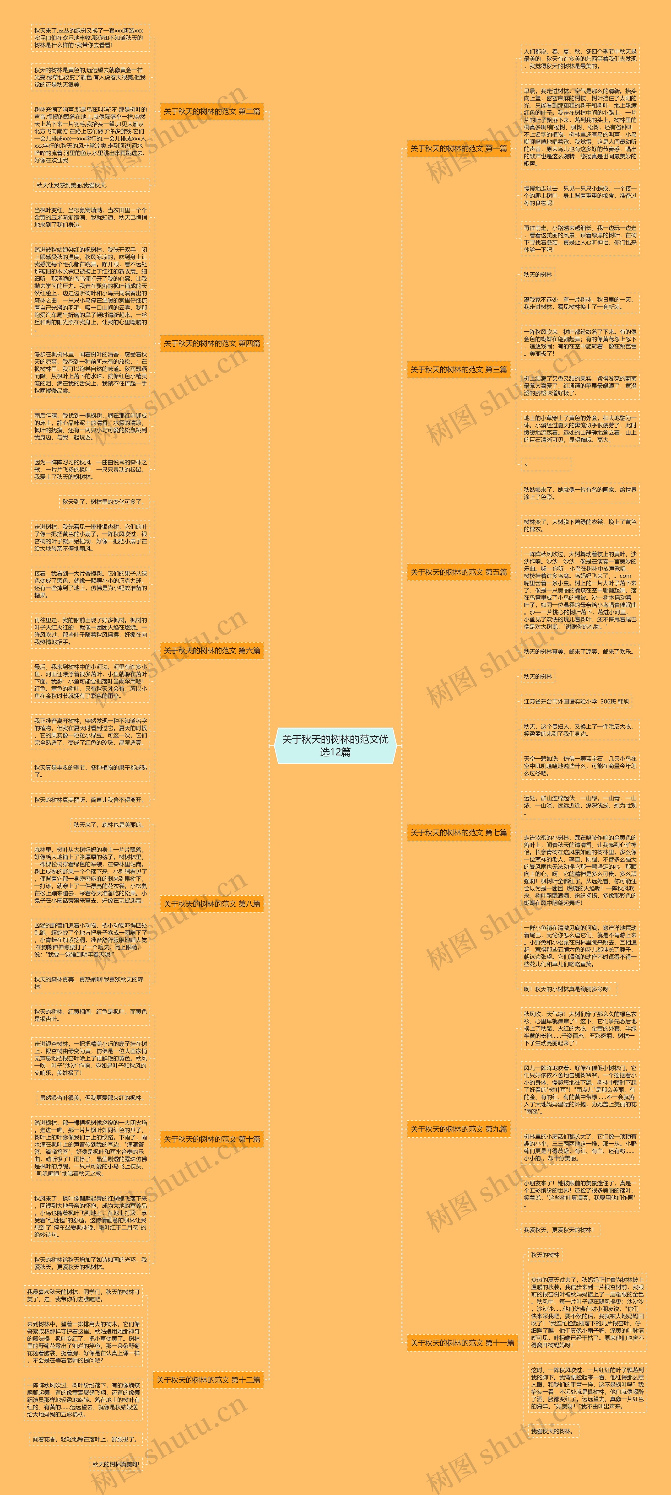 关于秋天的树林的范文优选12篇思维导图