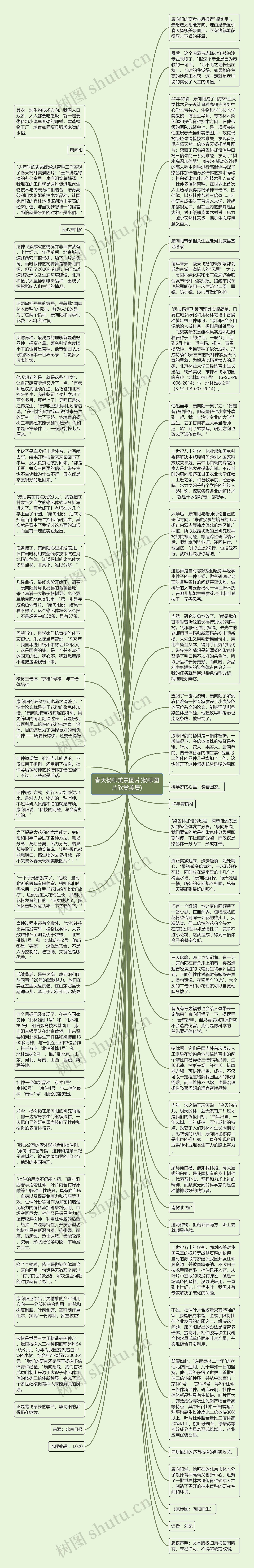 春天杨柳美景图片(杨柳图片欣赏美景)思维导图