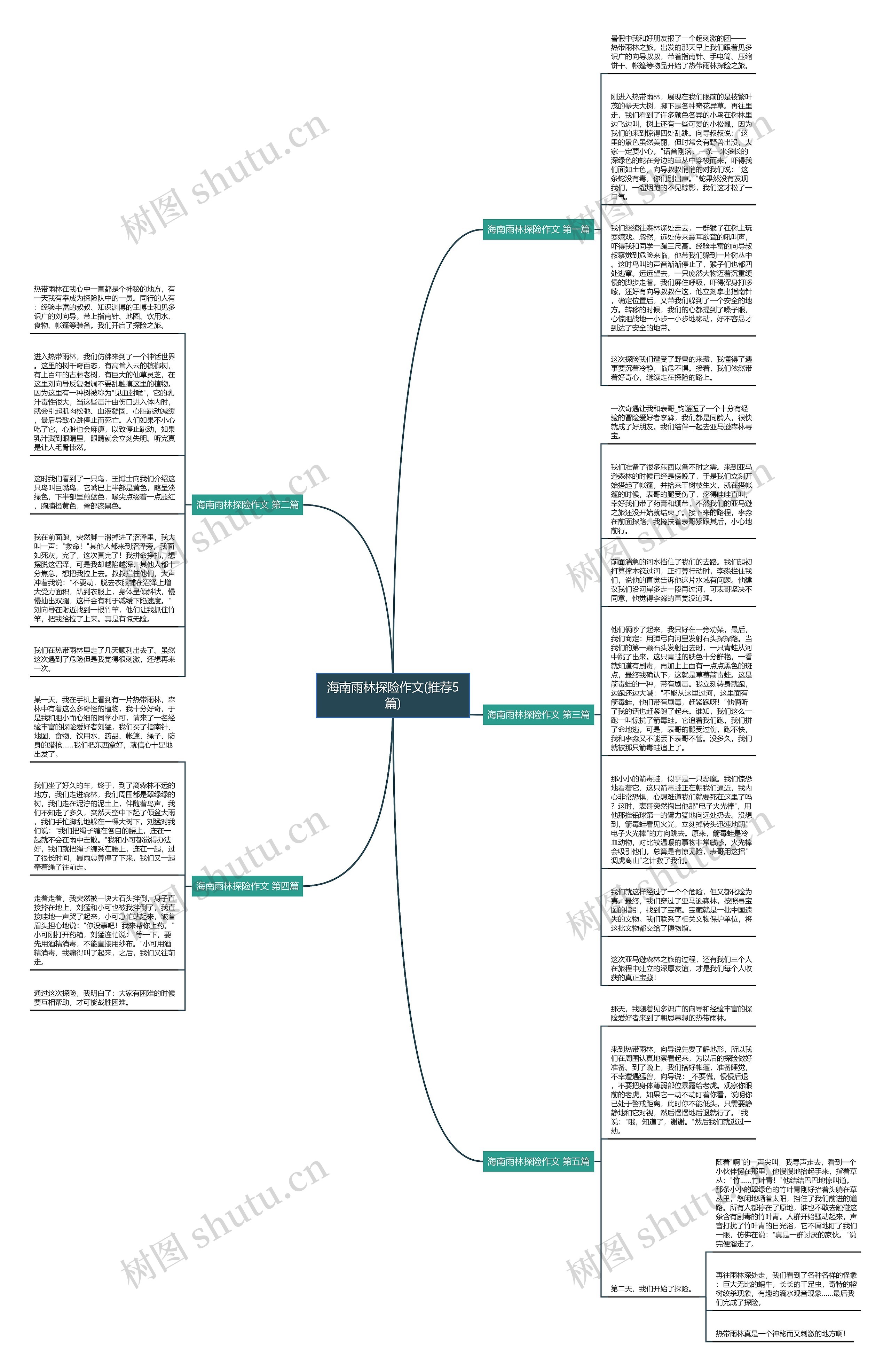 海南雨林探险作文(推荐5篇)思维导图