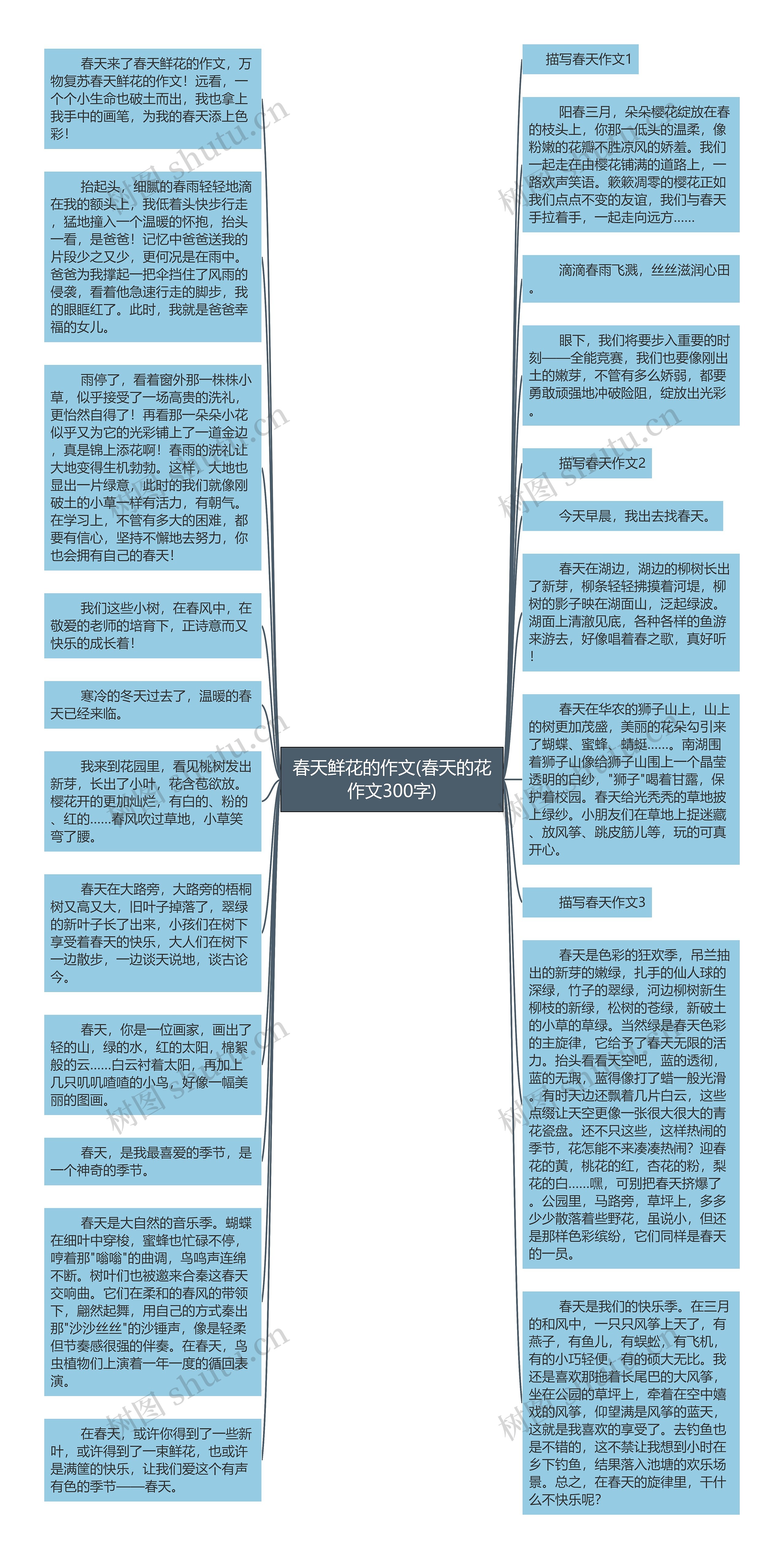 春天鲜花的作文(春天的花作文300字)思维导图