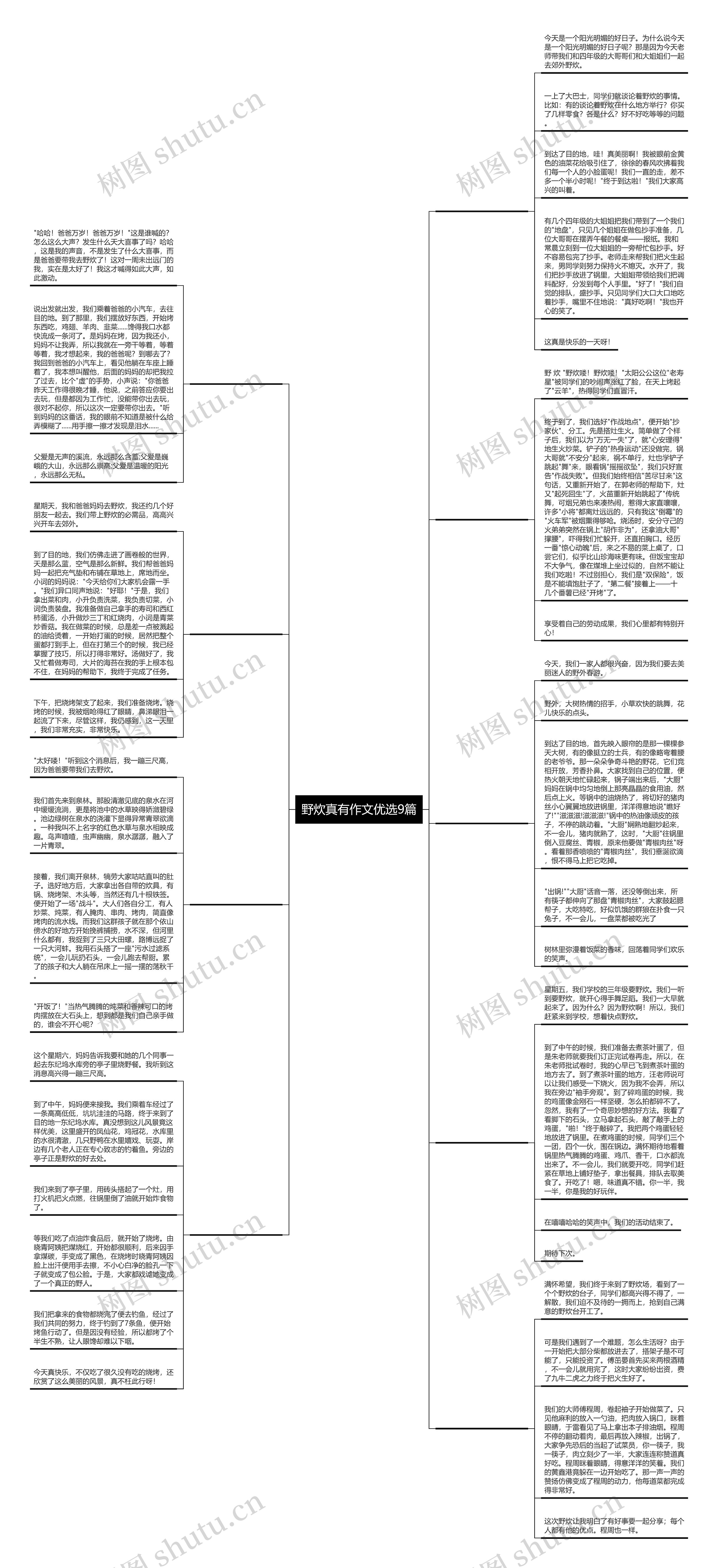 野炊真有作文优选9篇思维导图