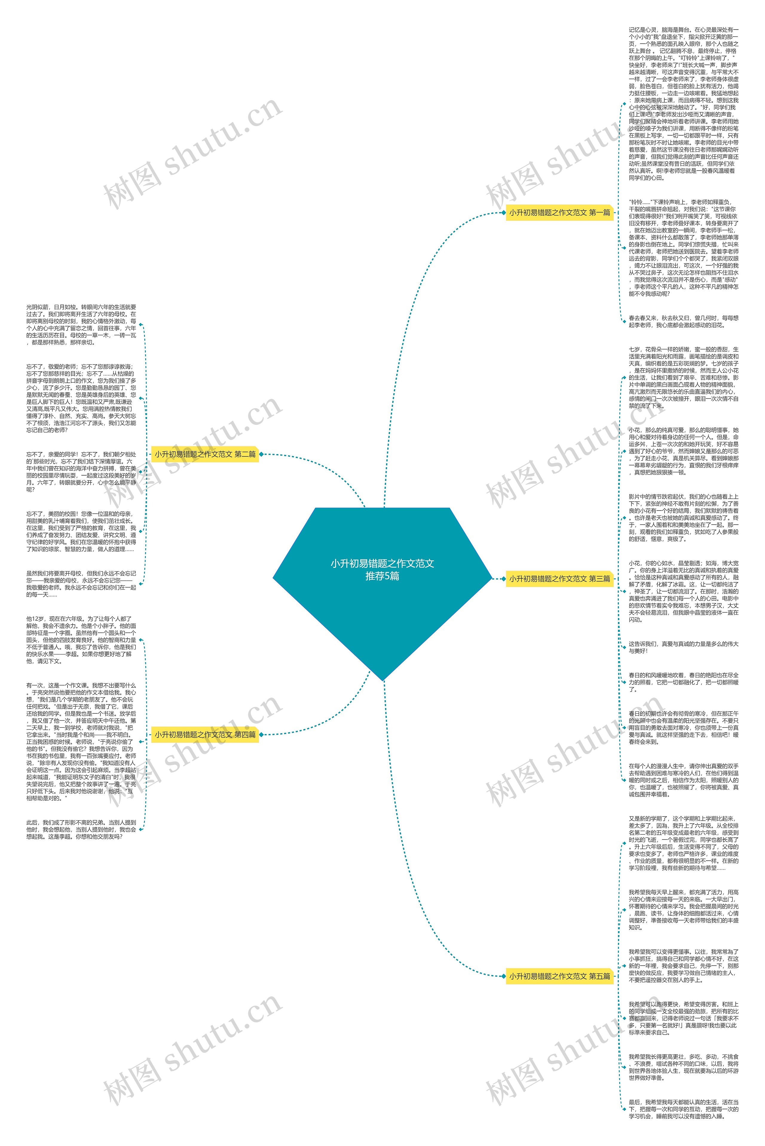 小升初易错题之作文范文推荐5篇思维导图