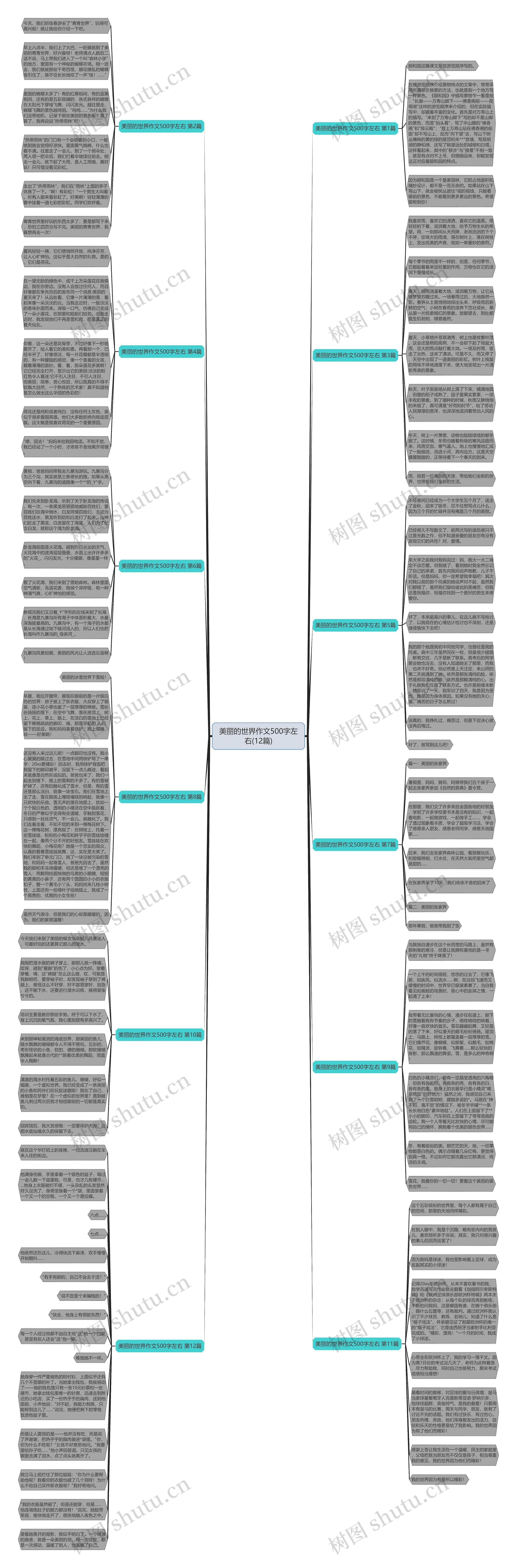 美丽的世界作文500字左右(12篇)思维导图