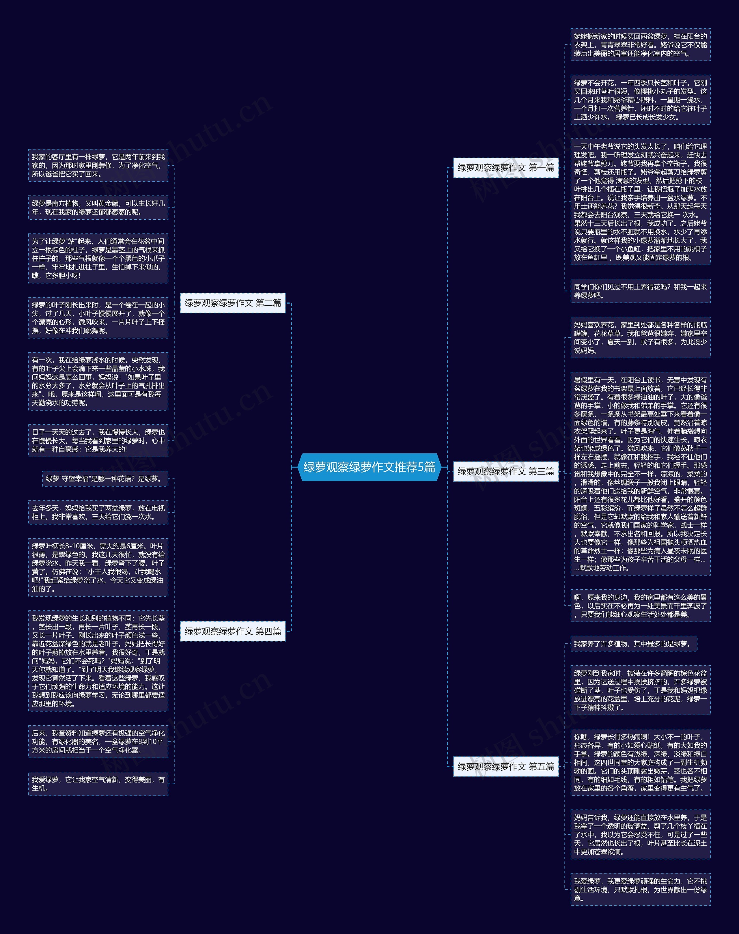 绿萝观察绿萝作文推荐5篇 绿萝观察绿萝作文推荐5篇